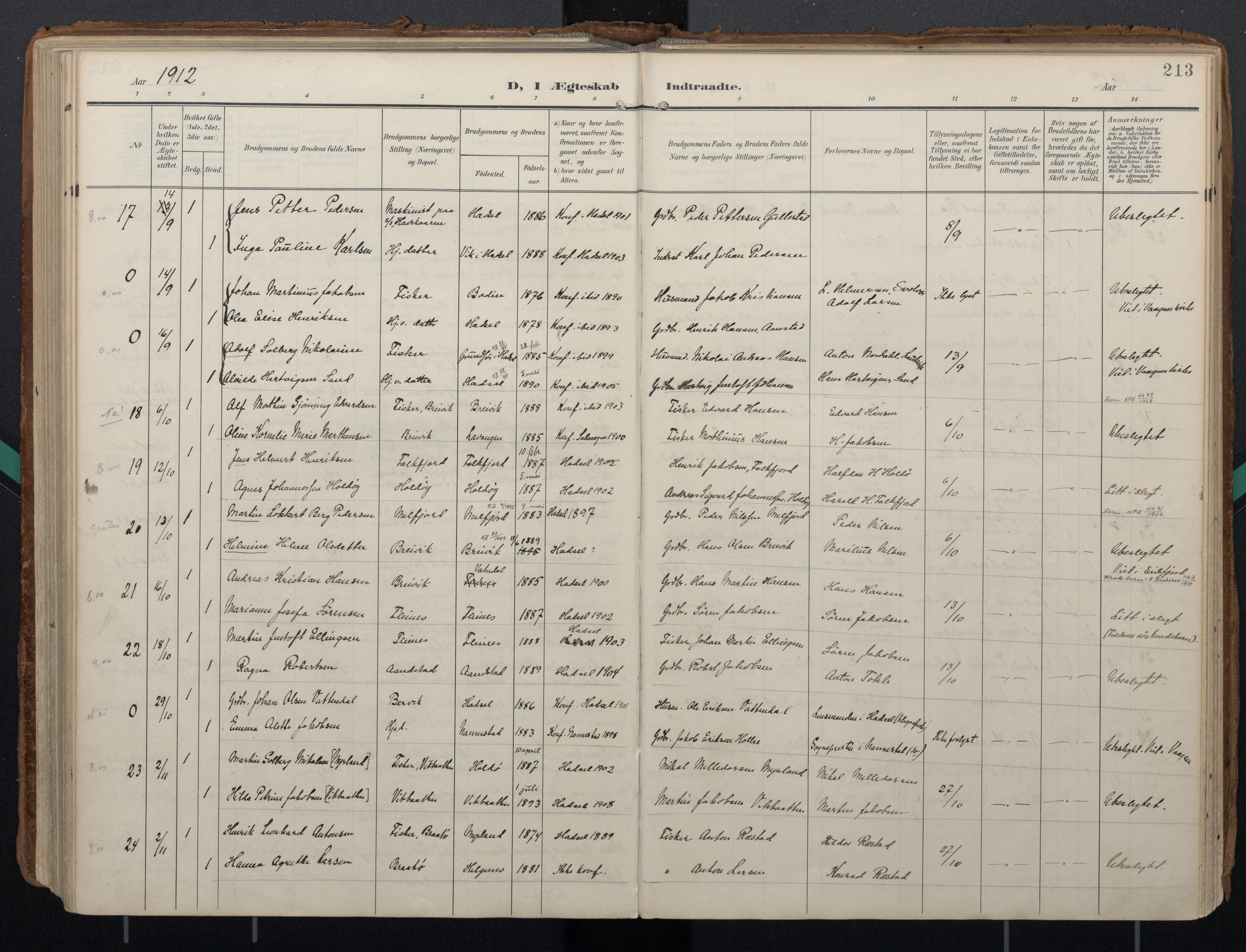 Ministerialprotokoller, klokkerbøker og fødselsregistre - Nordland, AV/SAT-A-1459/888/L1248: Ministerialbok nr. 888A14, 1904-1913, s. 213