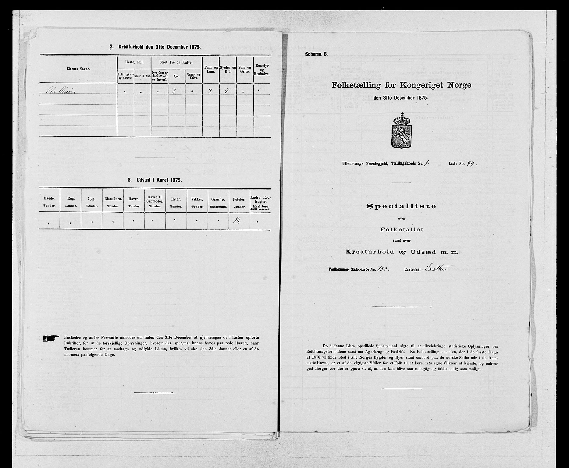 SAB, Folketelling 1875 for 1230P Ullensvang prestegjeld, 1875, s. 113