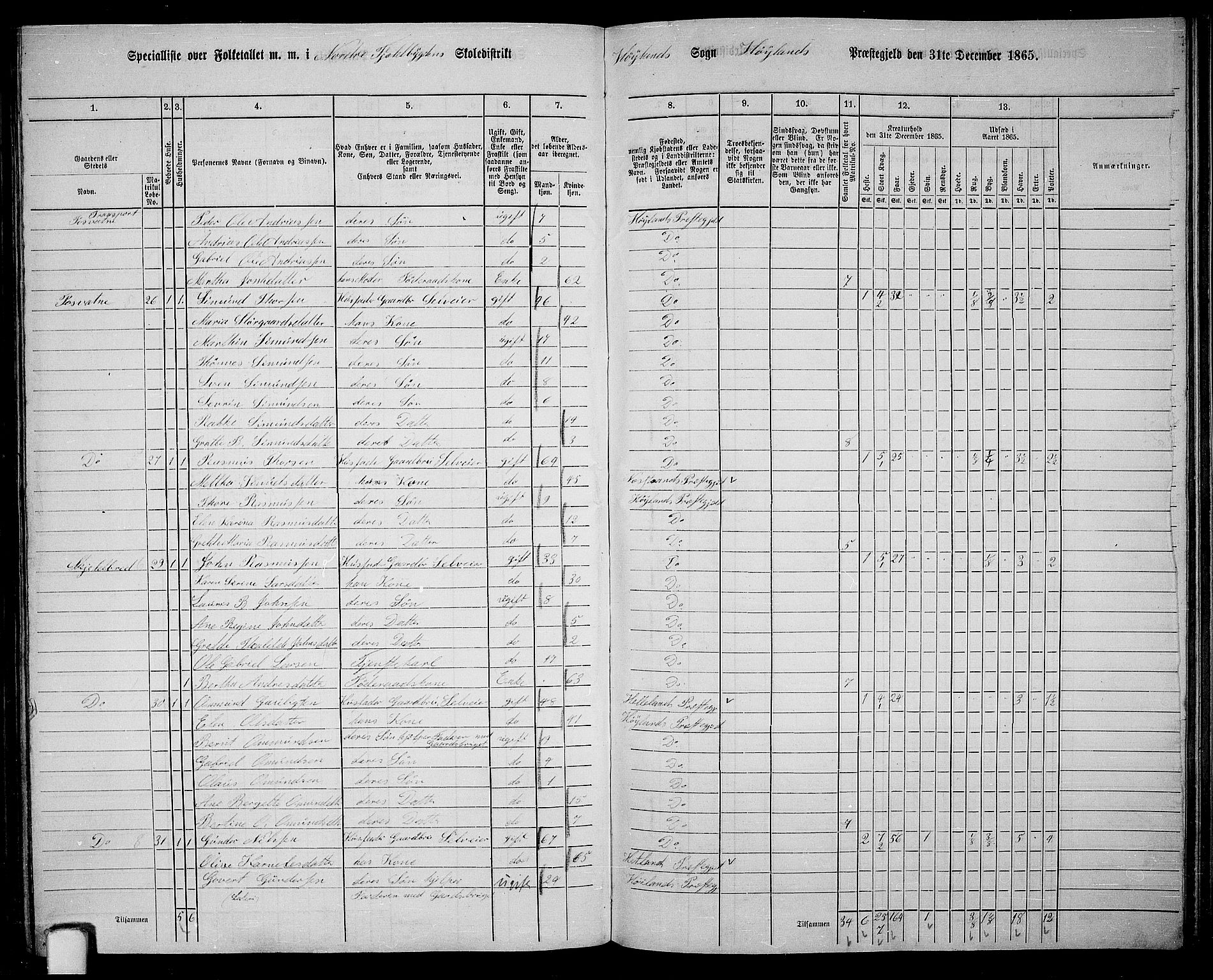 RA, Folketelling 1865 for 1123P Høyland prestegjeld, 1865, s. 120