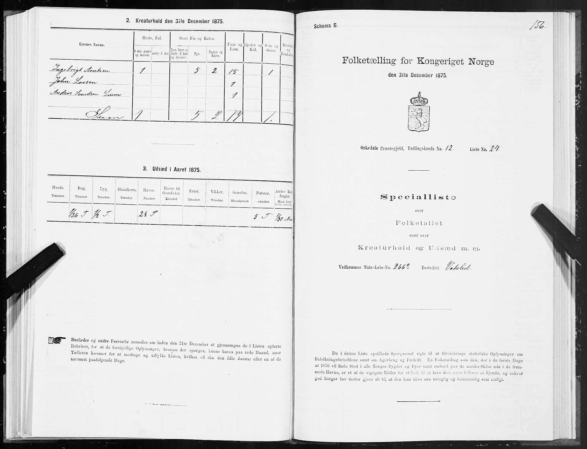 SAT, Folketelling 1875 for 1638P Orkdal prestegjeld, 1875, s. 6156