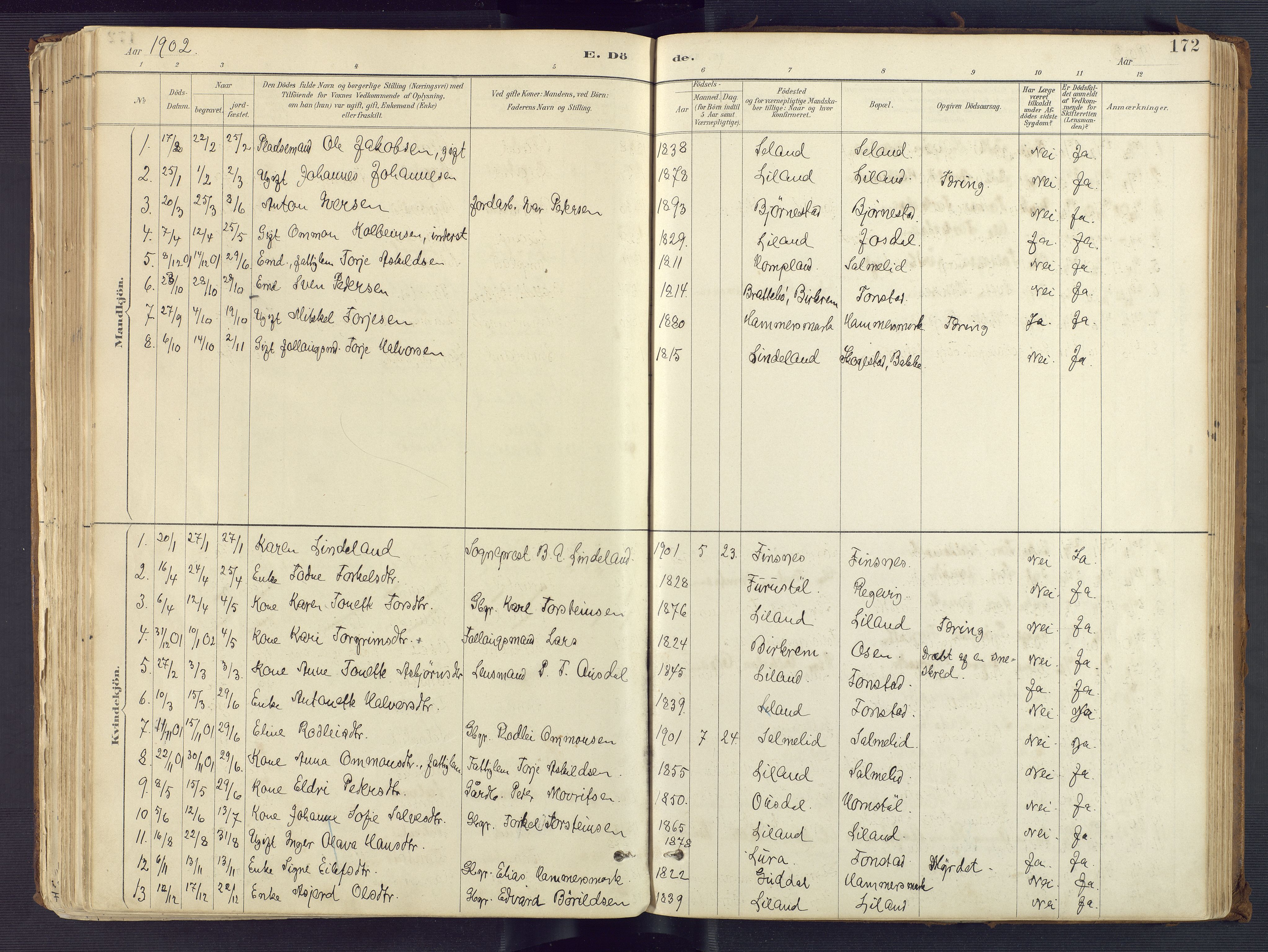 Sirdal sokneprestkontor, SAK/1111-0036/F/Fa/Fab/L0004: Ministerialbok nr. A 4, 1887-1919, s. 172