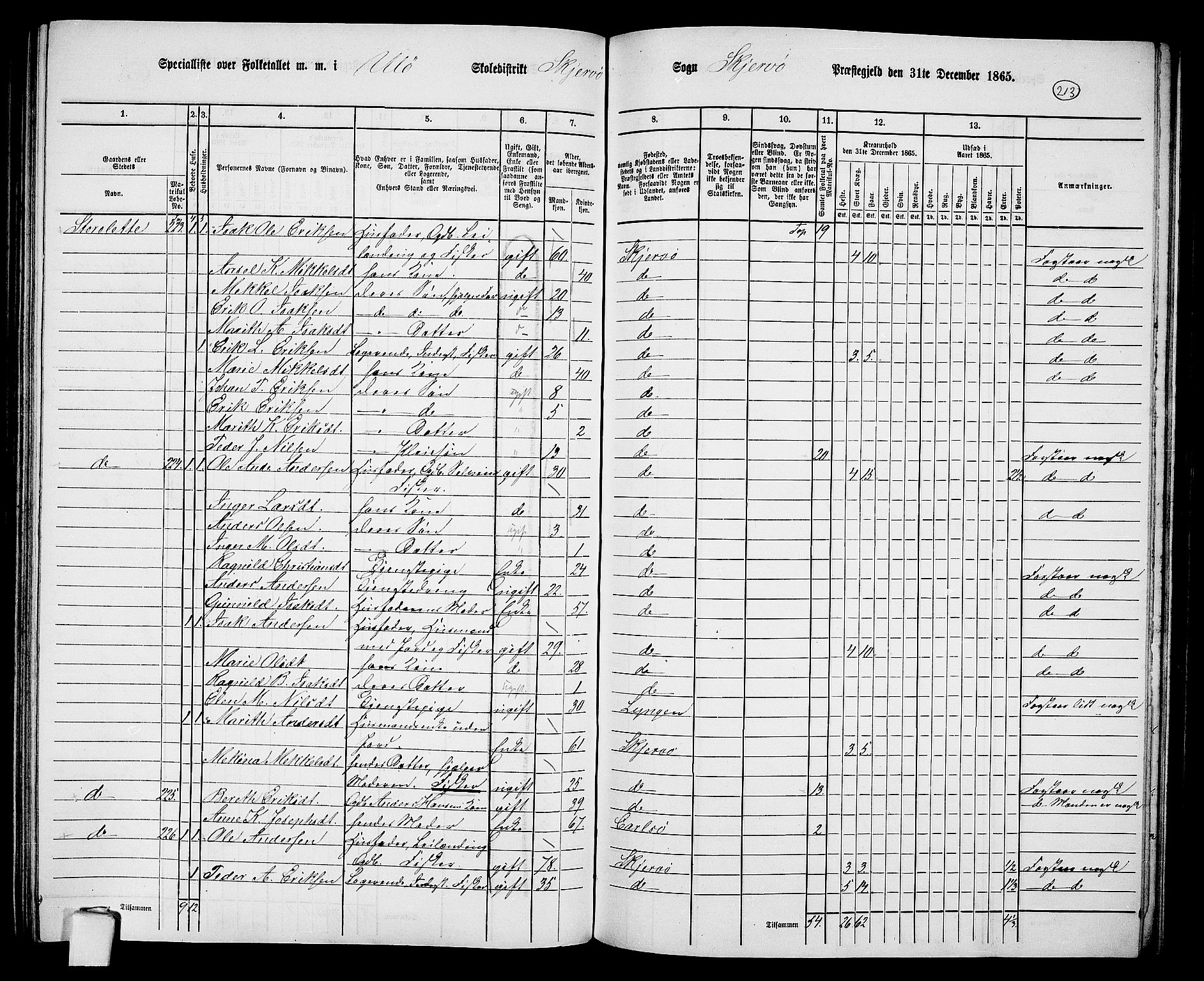 RA, Folketelling 1865 for 1941P Skjervøy prestegjeld, 1865, s. 94