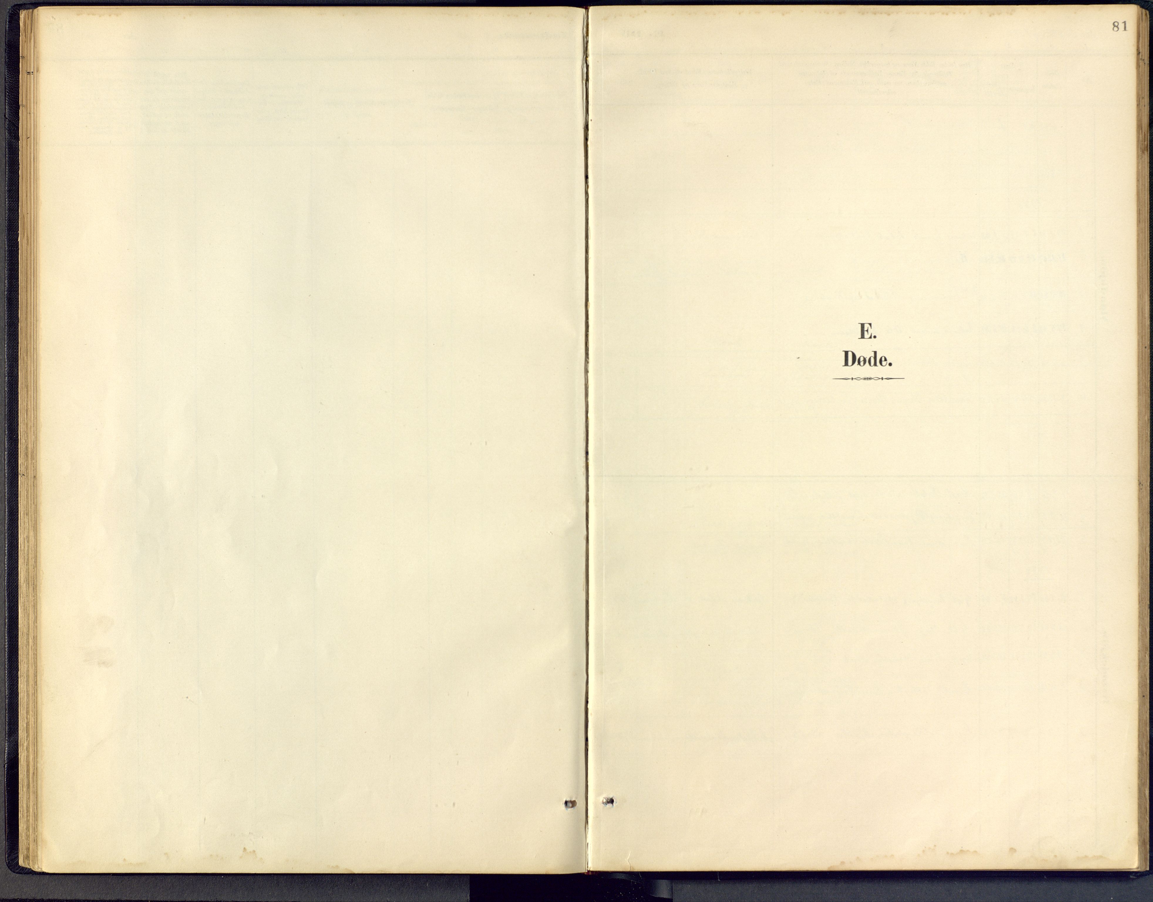 Vinje kirkebøker, SAKO/A-312/F/Fb/L0002: Ministerialbok nr. II 2, 1887-1925, s. 81