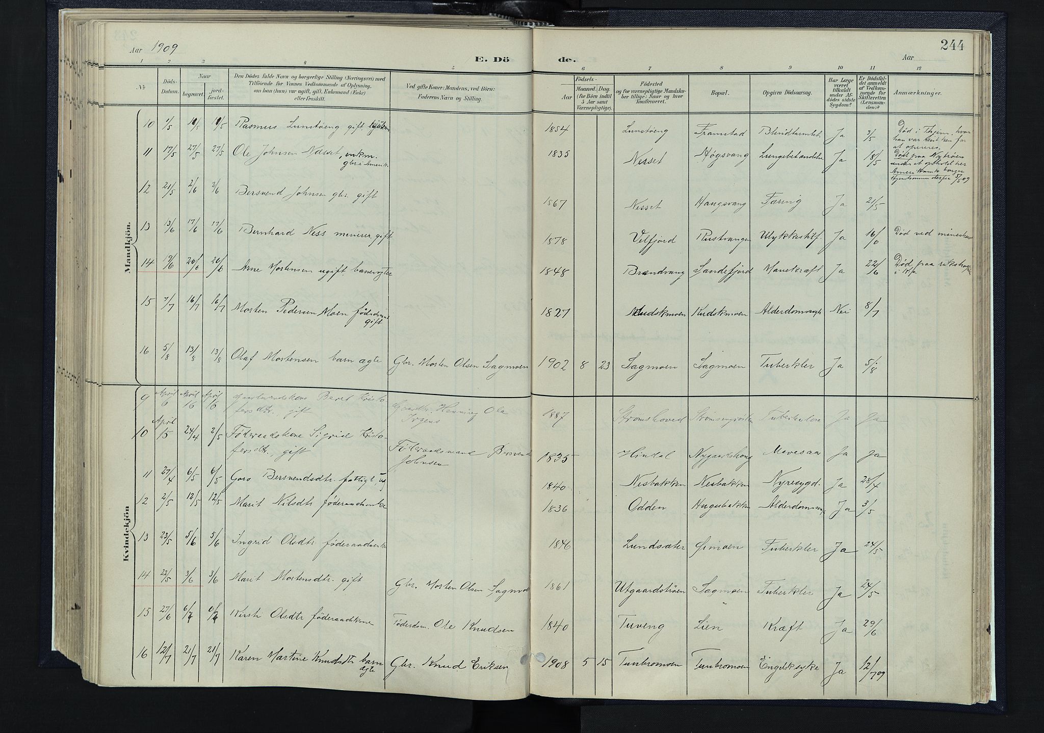 Tynset prestekontor, AV/SAH-PREST-058/H/Ha/Haa/L0025: Ministerialbok nr. 25, 1900-1914, s. 244