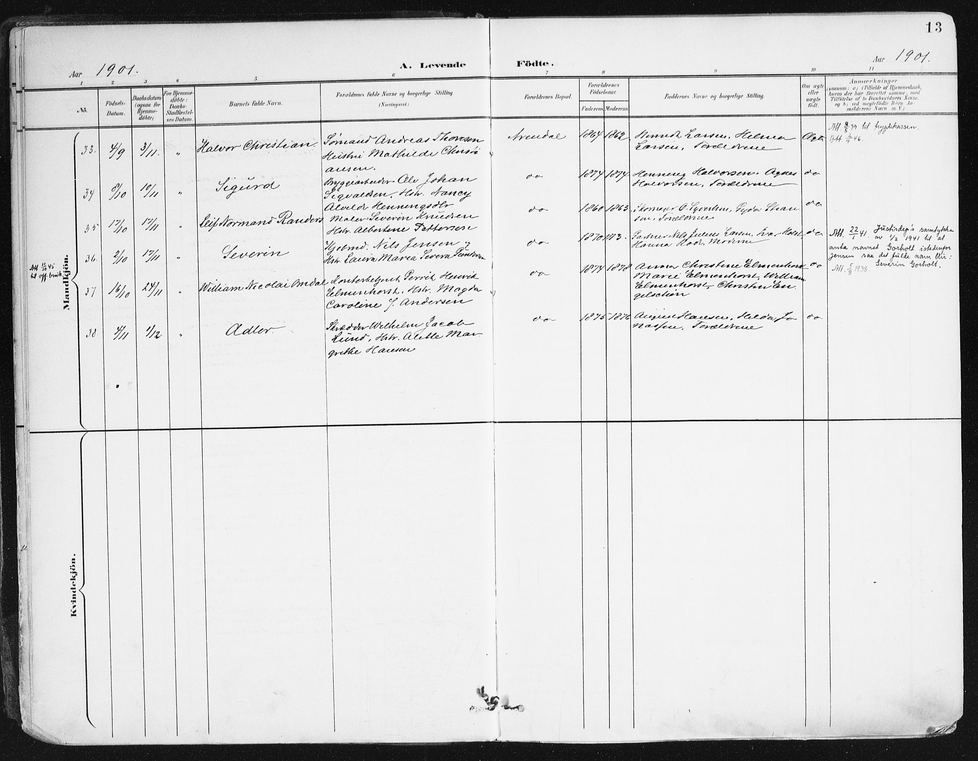 Arendal sokneprestkontor, Trefoldighet, SAK/1111-0040/F/Fa/L0010: Ministerialbok nr. A 10, 1900-1919, s. 13