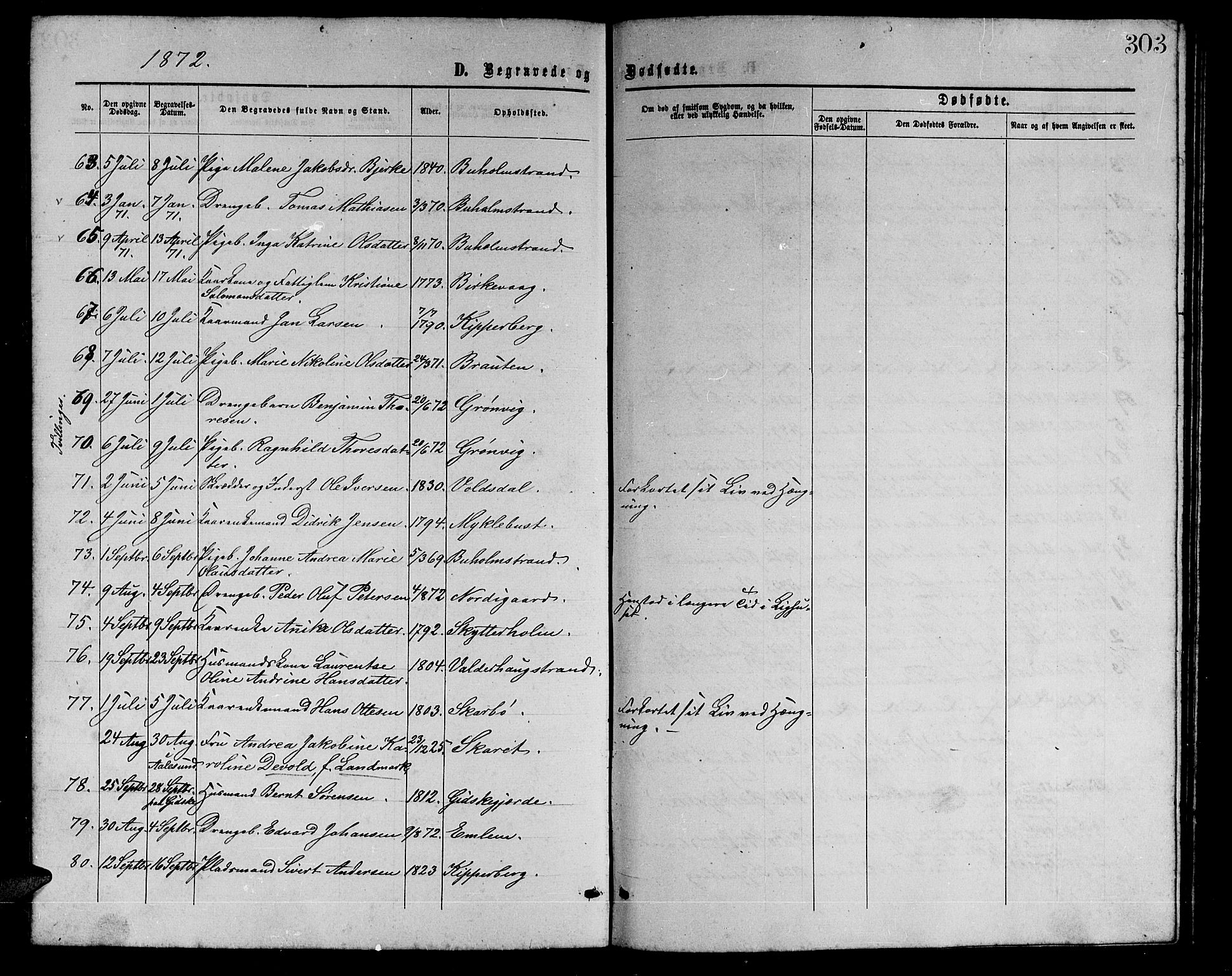 Ministerialprotokoller, klokkerbøker og fødselsregistre - Møre og Romsdal, AV/SAT-A-1454/528/L0428: Klokkerbok nr. 528C09, 1864-1880, s. 303