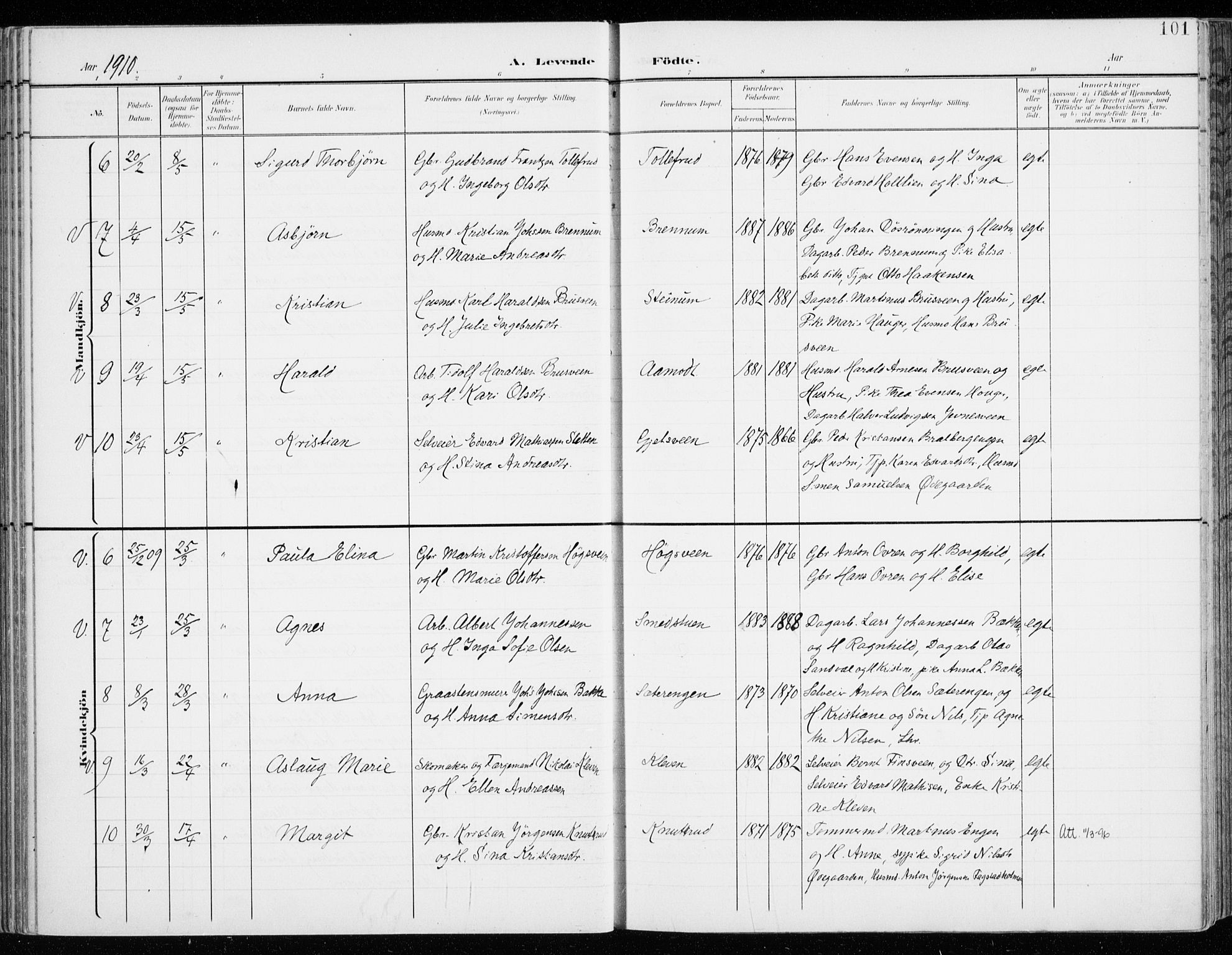 Fåberg prestekontor, AV/SAH-PREST-086/H/Ha/Haa/L0011: Ministerialbok nr. 11, 1899-1913, s. 101