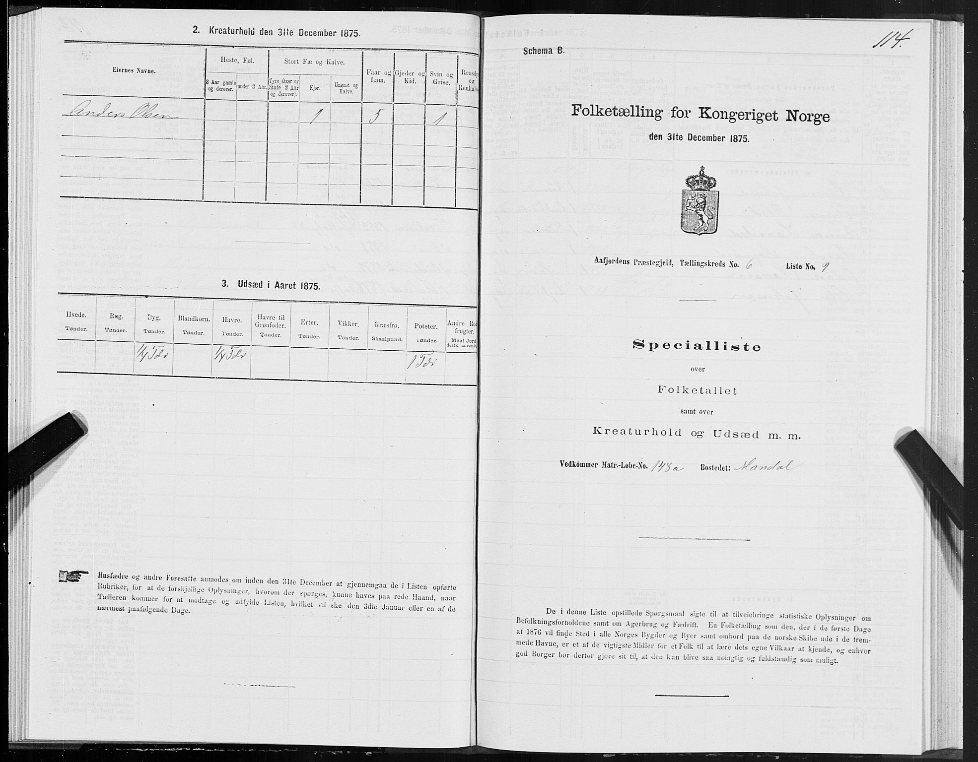 SAT, Folketelling 1875 for 1630P Aafjorden prestegjeld, 1875, s. 3114