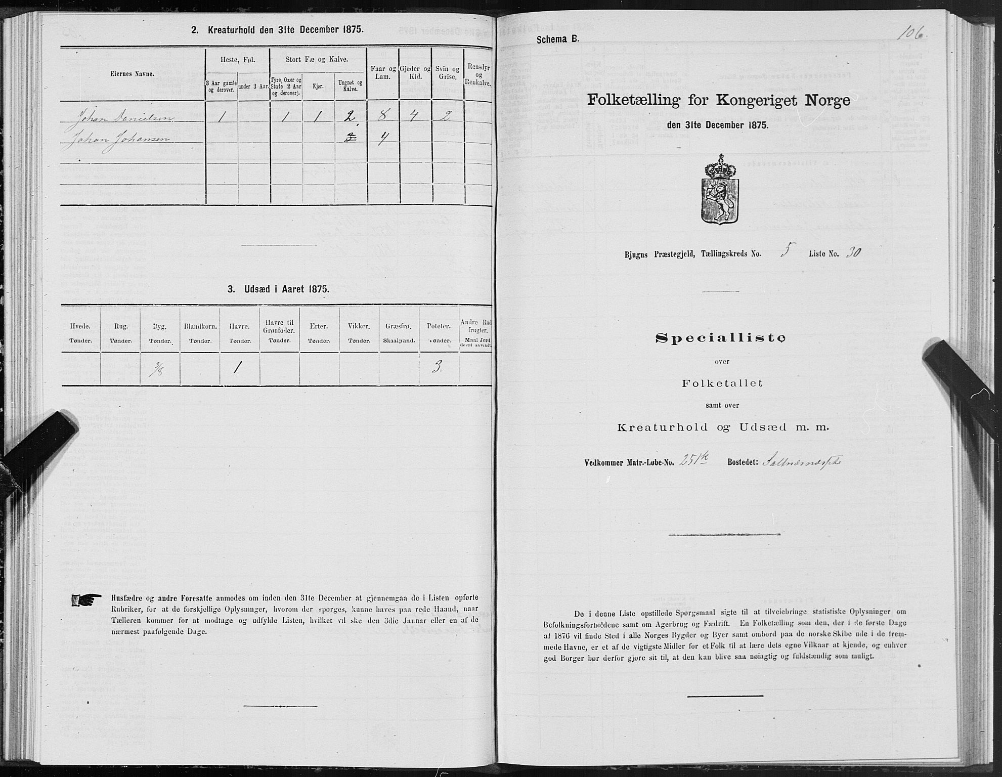 SAT, Folketelling 1875 for 1627P Bjugn prestegjeld, 1875, s. 3106