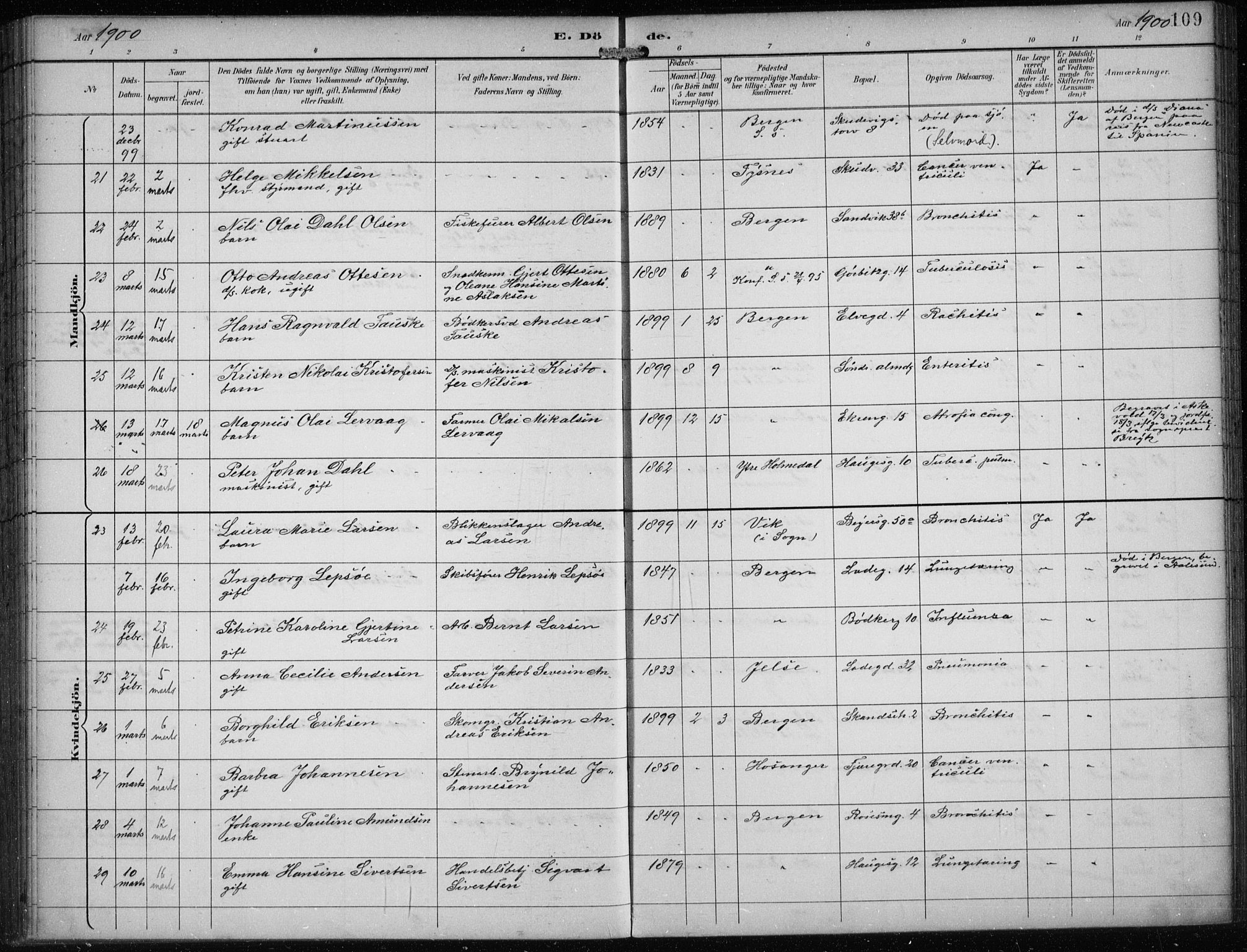 Sandviken Sokneprestembete, AV/SAB-A-77601/H/Ha/L0018: Ministerialbok nr. E 1, 1893-1905, s. 109