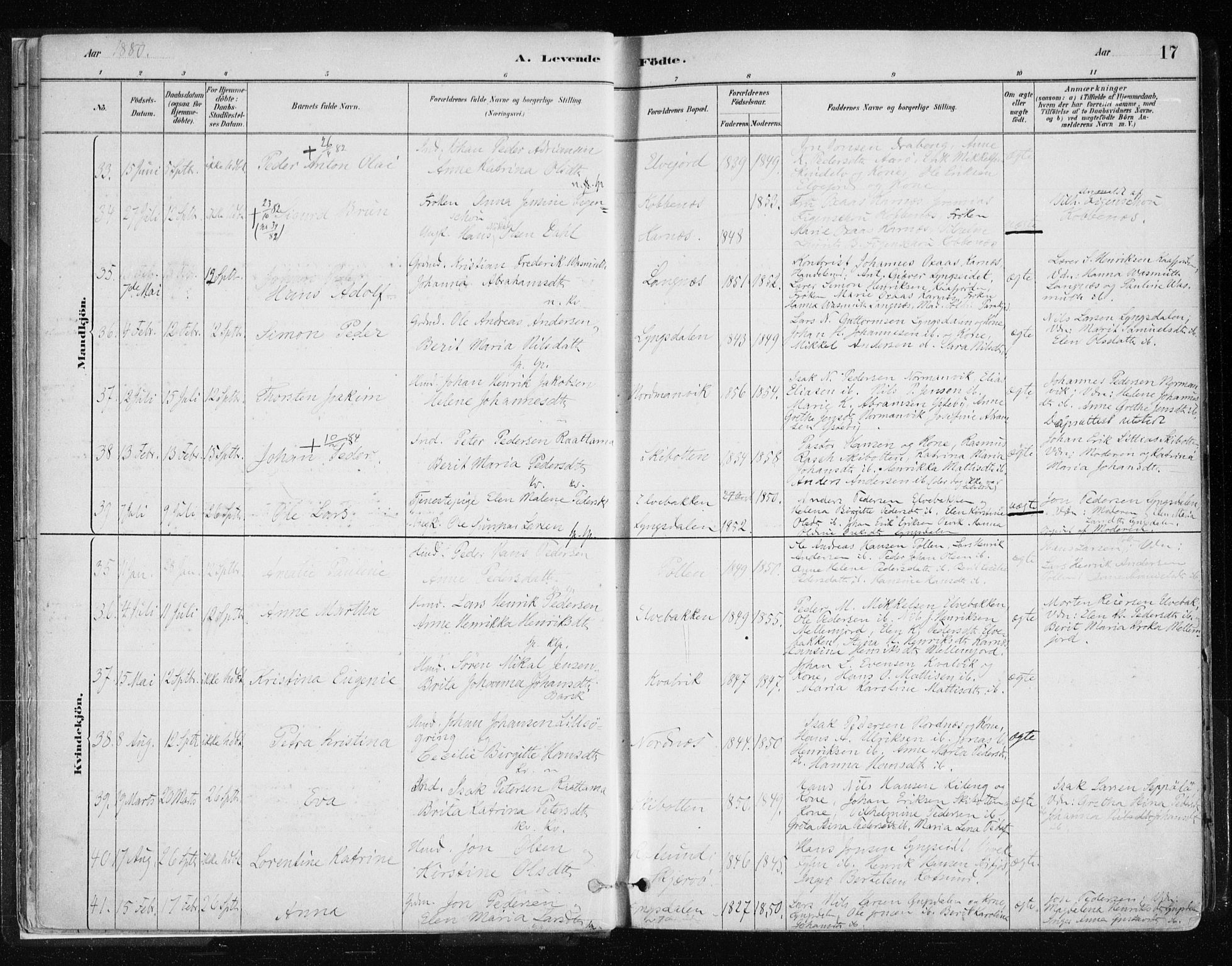 Lyngen sokneprestembete, AV/SATØ-S-1289/H/He/Hea/L0007kirke: Ministerialbok nr. 7, 1879-1890, s. 17