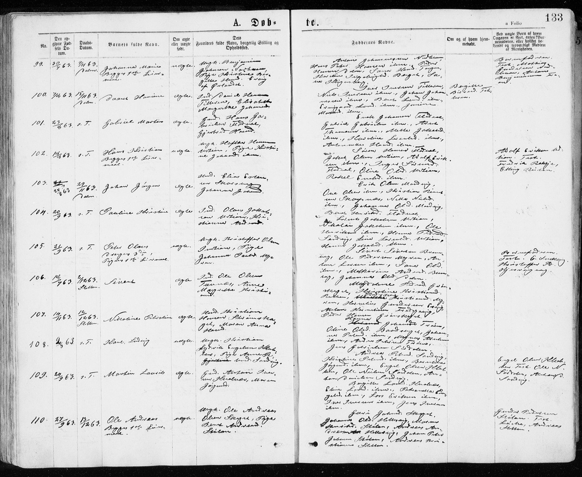 Ministerialprotokoller, klokkerbøker og fødselsregistre - Sør-Trøndelag, SAT/A-1456/640/L0576: Ministerialbok nr. 640A01, 1846-1876, s. 133