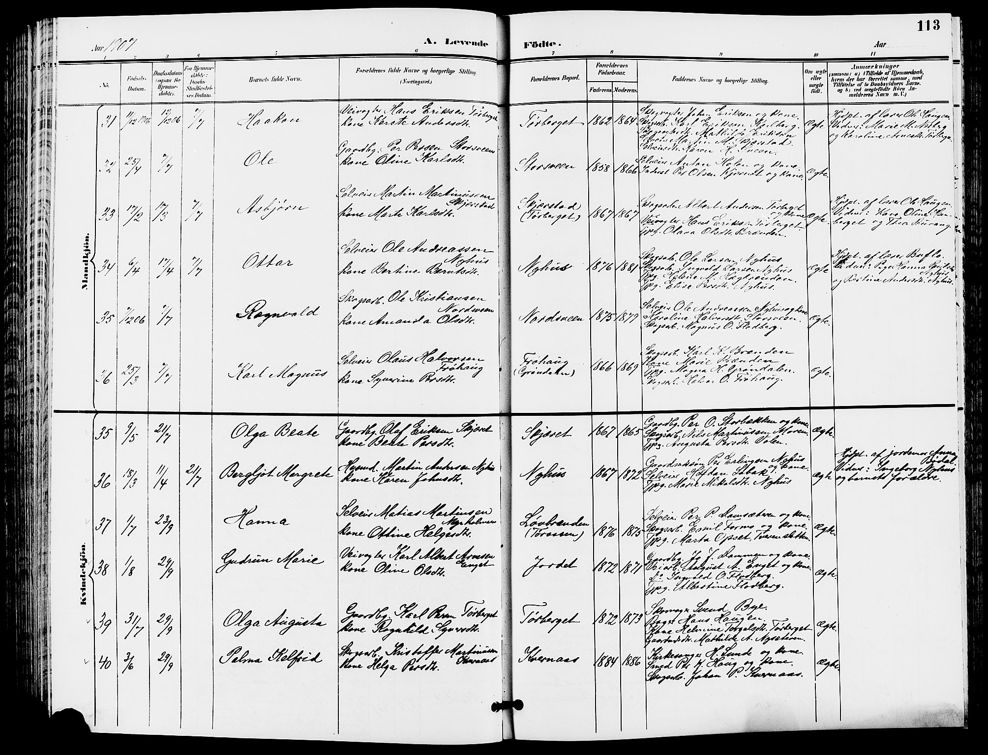 Trysil prestekontor, AV/SAH-PREST-046/H/Ha/Hab/L0006: Klokkerbok nr. 6, 1896-1912, s. 113