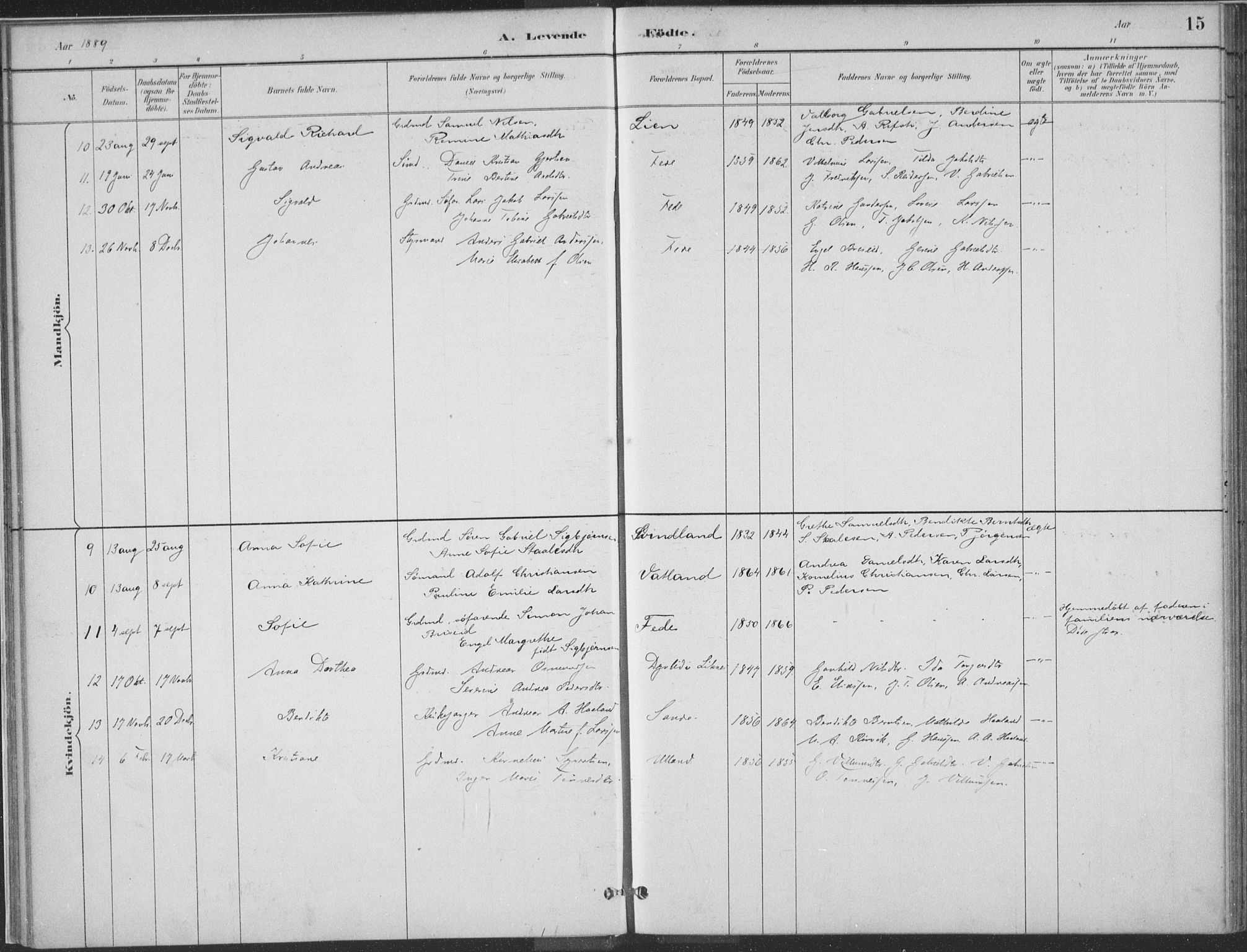 Kvinesdal sokneprestkontor, SAK/1111-0026/F/Fa/Faa/L0004: Ministerialbok nr. A 4, 1882-1897, s. 15