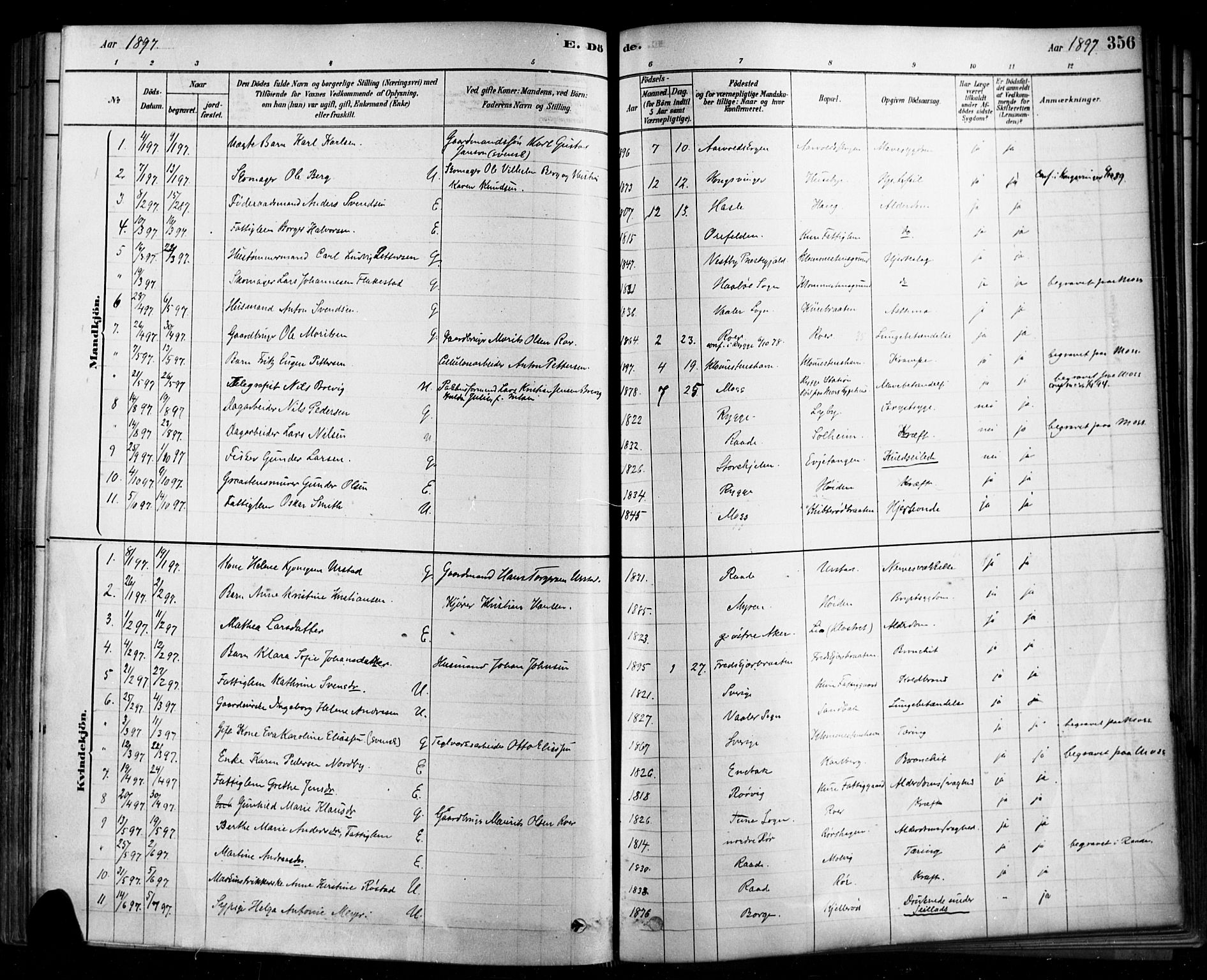 Rygge prestekontor Kirkebøker, SAO/A-10084b/F/Fa/L0007: Ministerialbok nr. 7, 1878-1904, s. 356