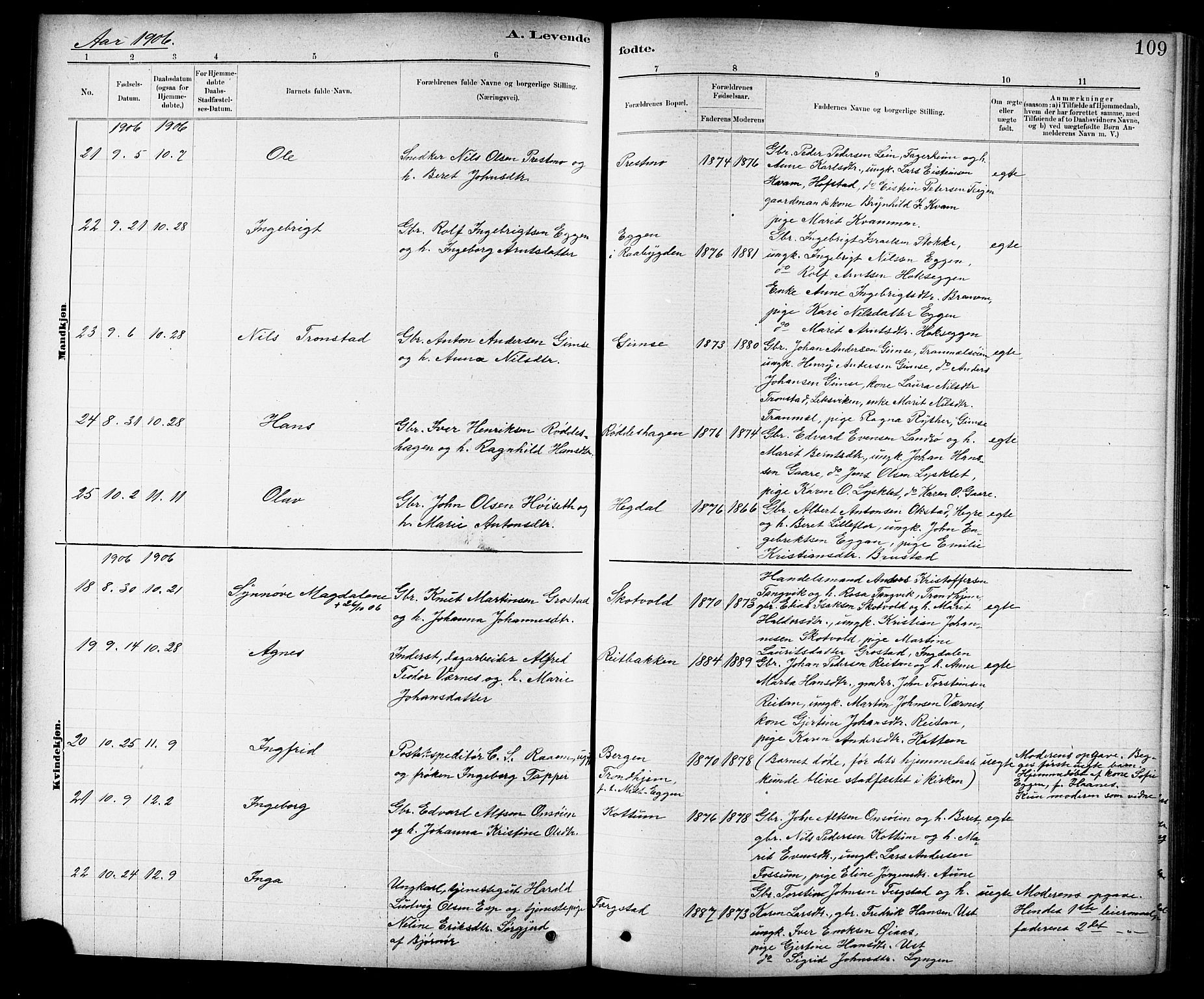 Ministerialprotokoller, klokkerbøker og fødselsregistre - Sør-Trøndelag, SAT/A-1456/691/L1094: Klokkerbok nr. 691C05, 1879-1911, s. 109