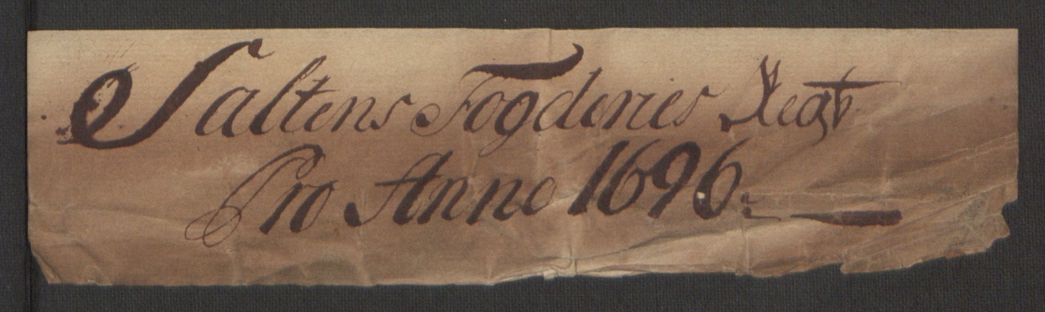 Rentekammeret inntil 1814, Reviderte regnskaper, Fogderegnskap, RA/EA-4092/R66/L4578: Fogderegnskap Salten, 1694-1696, s. 196