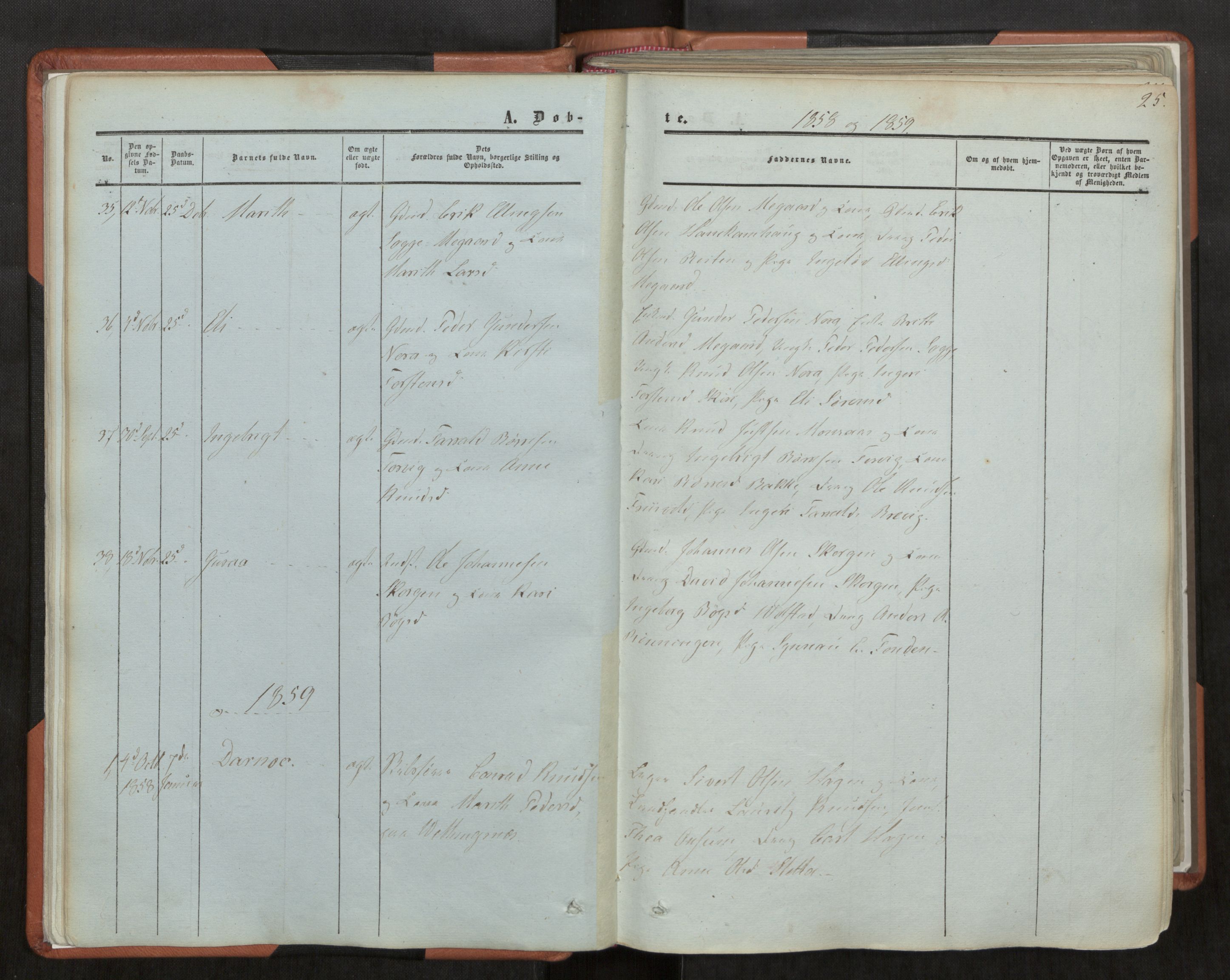 Ministerialprotokoller, klokkerbøker og fødselsregistre - Møre og Romsdal, AV/SAT-A-1454/544/L0572: Ministerialbok nr. 544A05, 1854-1886, s. 25
