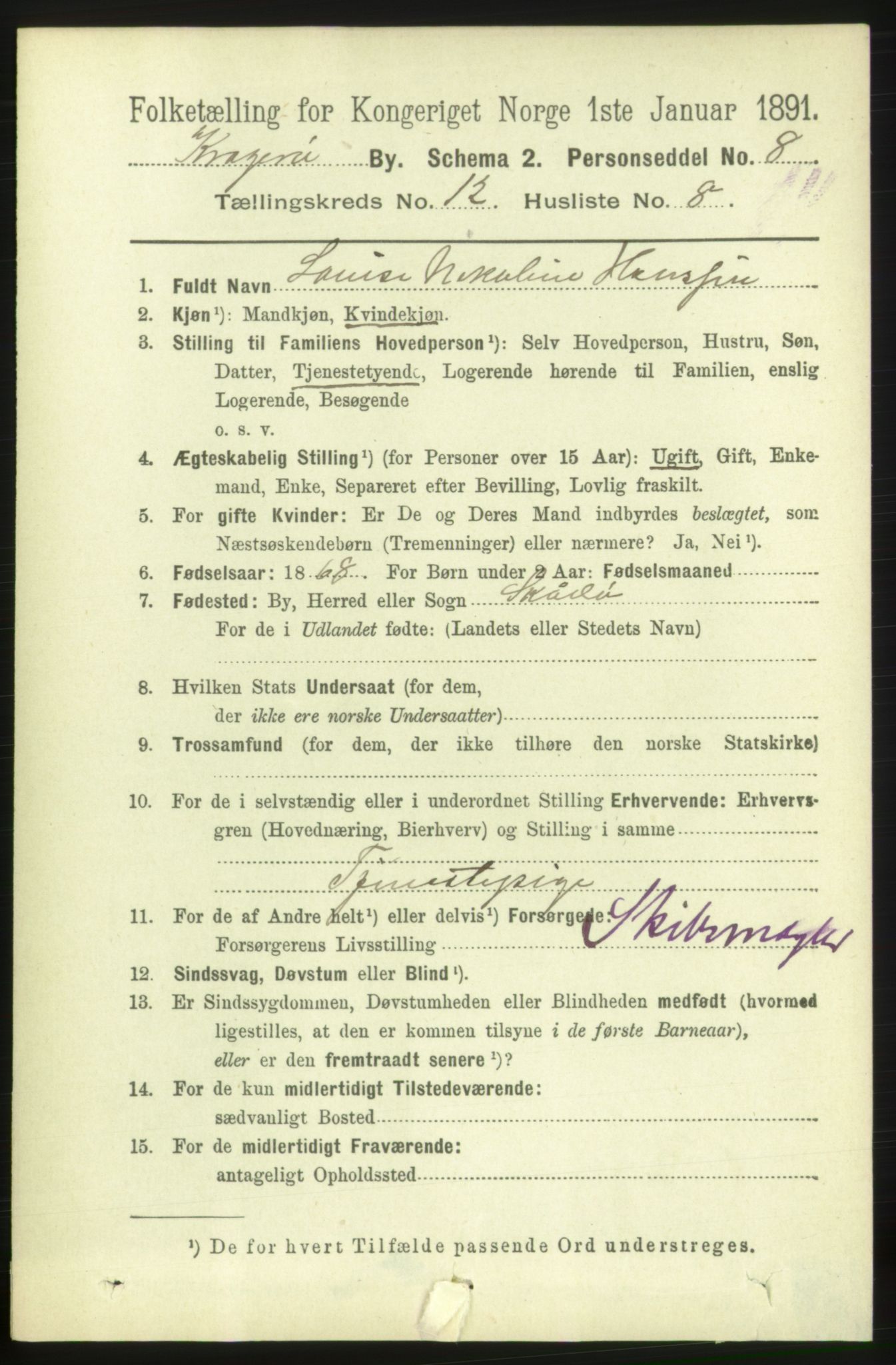 RA, Folketelling 1891 for 0801 Kragerø kjøpstad, 1891, s. 3972