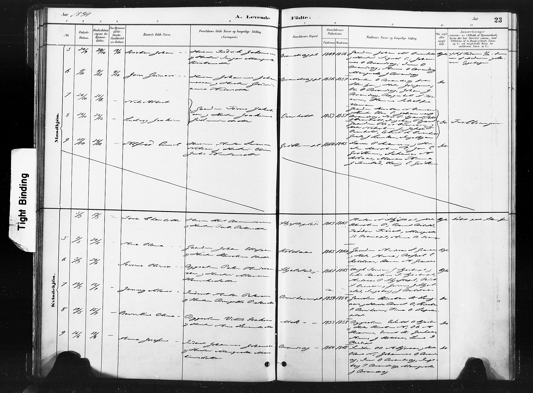 Ministerialprotokoller, klokkerbøker og fødselsregistre - Nord-Trøndelag, SAT/A-1458/736/L0361: Ministerialbok nr. 736A01, 1884-1906, s. 23
