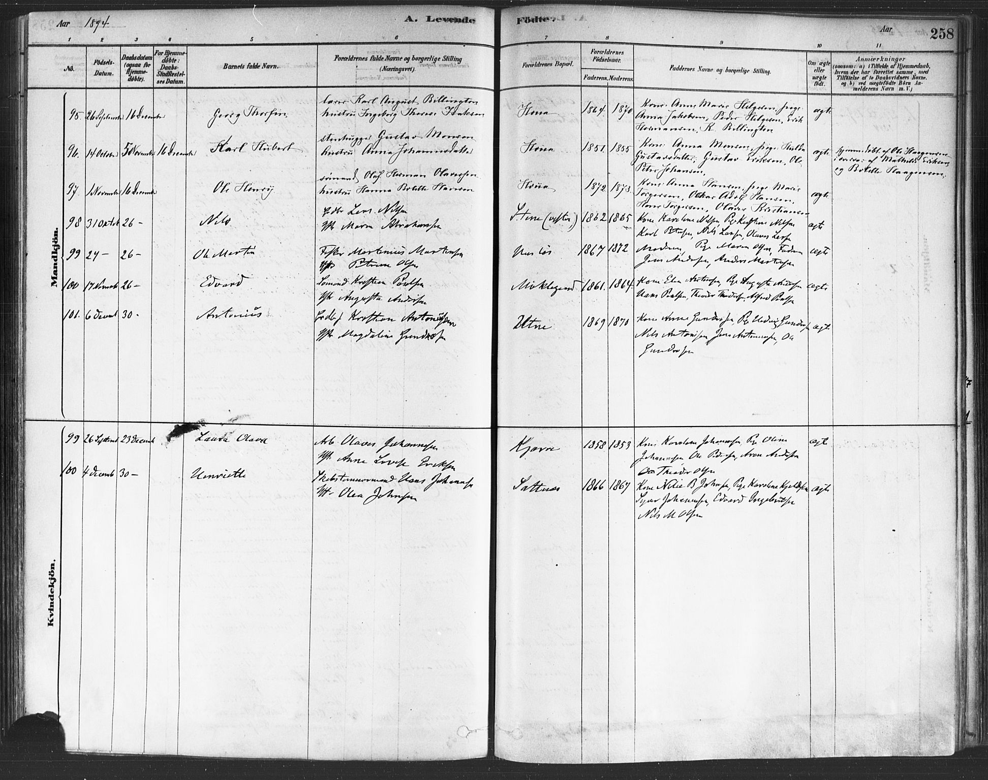 Onsøy prestekontor Kirkebøker, AV/SAO-A-10914/F/Fa/L0005: Ministerialbok nr. I 5, 1878-1898, s. 258