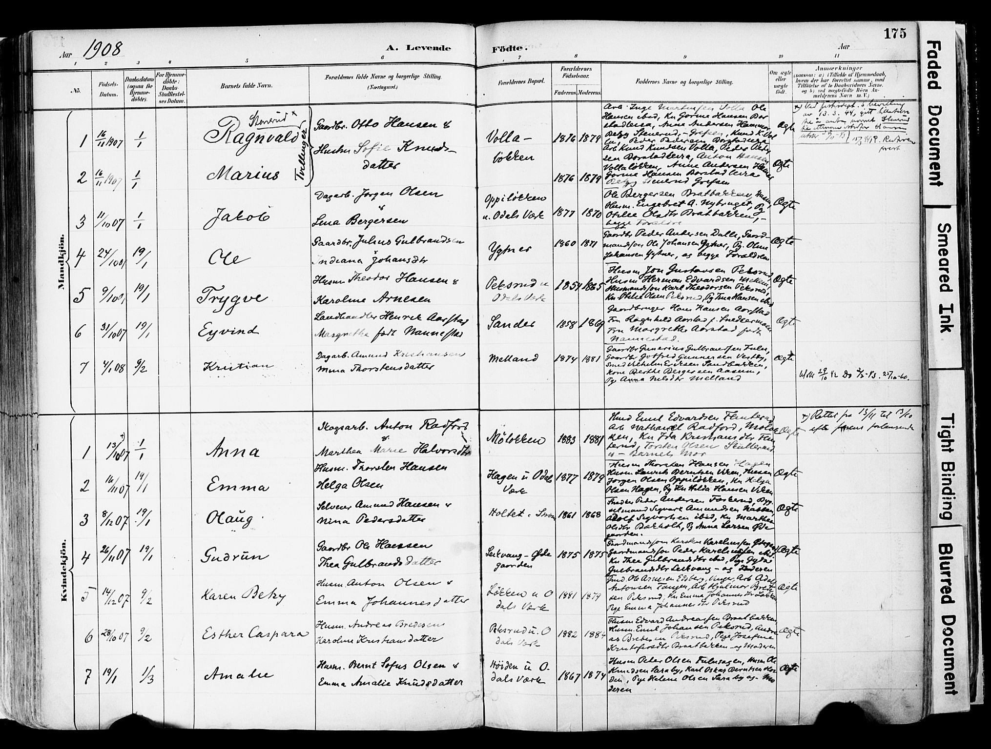 Sør-Odal prestekontor, AV/SAH-PREST-030/H/Ha/Haa/L0006: Ministerialbok nr. 6, 1886-1931, s. 175