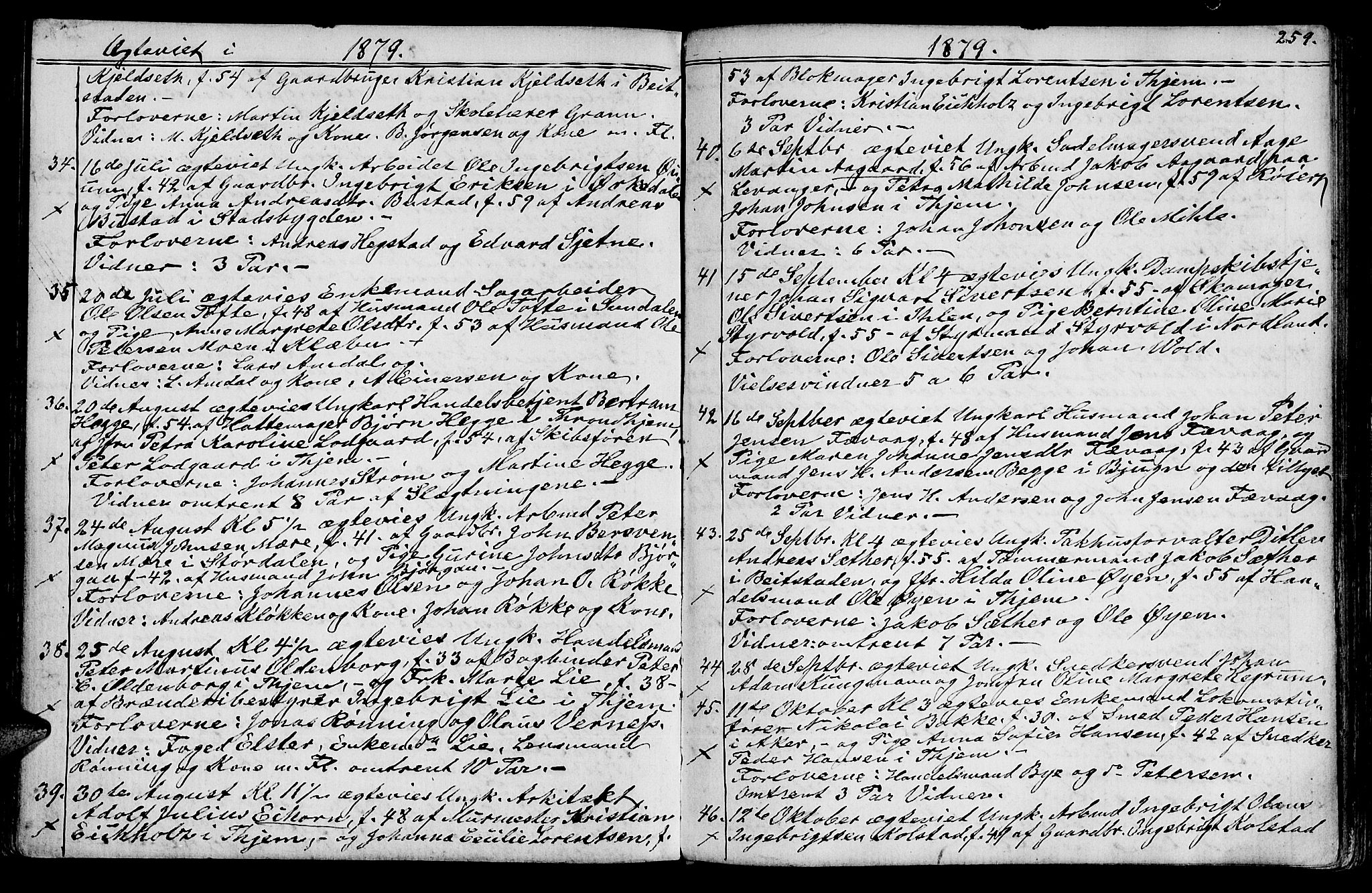 Ministerialprotokoller, klokkerbøker og fødselsregistre - Sør-Trøndelag, SAT/A-1456/602/L0142: Klokkerbok nr. 602C10, 1872-1894, s. 259a