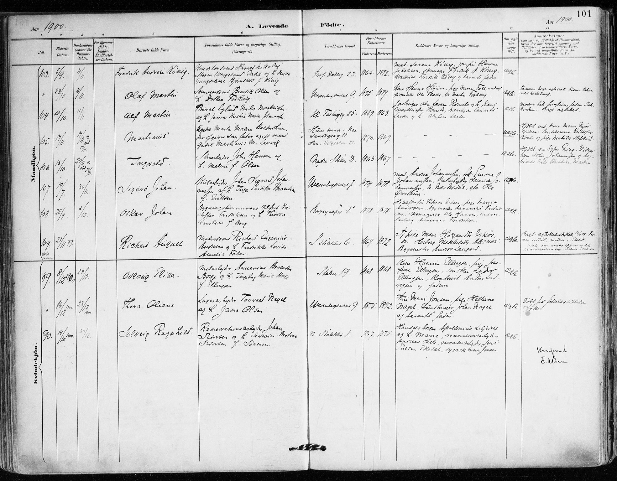 Mariakirken Sokneprestembete, AV/SAB-A-76901/H/Haa/L0008: Ministerialbok nr. A 8, 1893-1942, s. 101