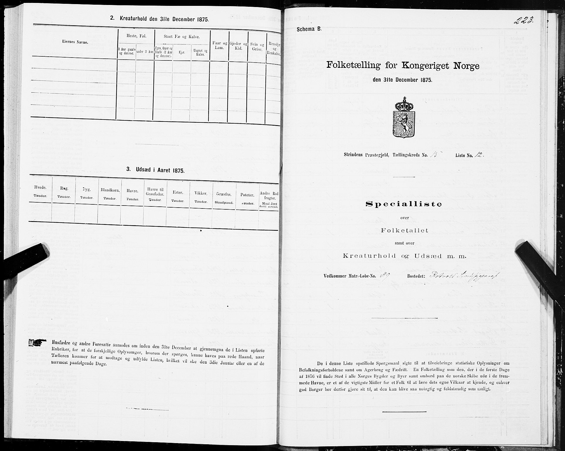 SAT, Folketelling 1875 for 1660P Strinda prestegjeld, 1875, s. 8223