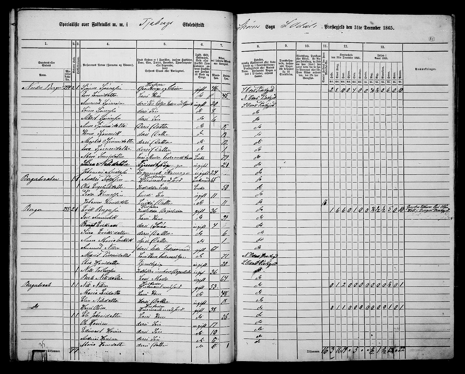 RA, Folketelling 1865 for 0419P Sør-Odal prestegjeld, 1865, s. 47