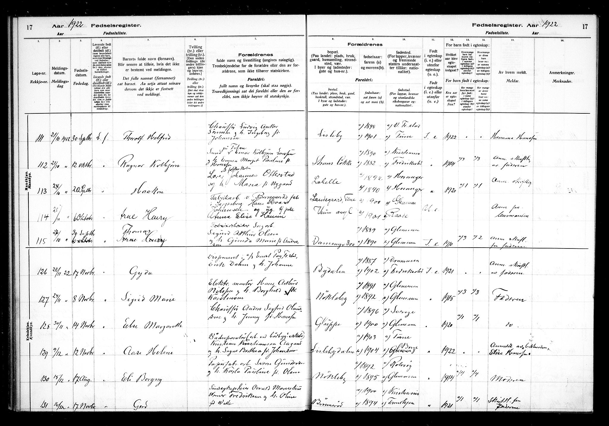 Glemmen prestekontor Kirkebøker, AV/SAO-A-10908/J/Ja/L0002: Fødselsregister nr. I 2, 1922-1929, s. 17