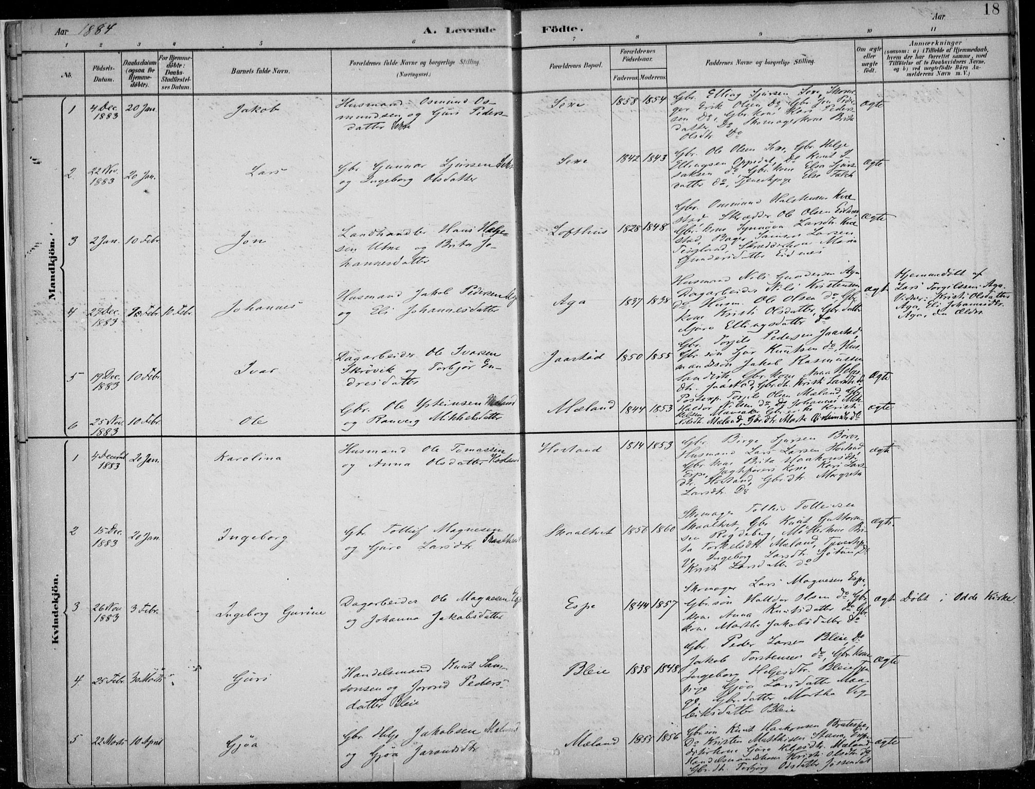 Ullensvang sokneprestembete, AV/SAB-A-78701/H/Haa: Ministerialbok nr. B  1, 1882-1918, s. 18