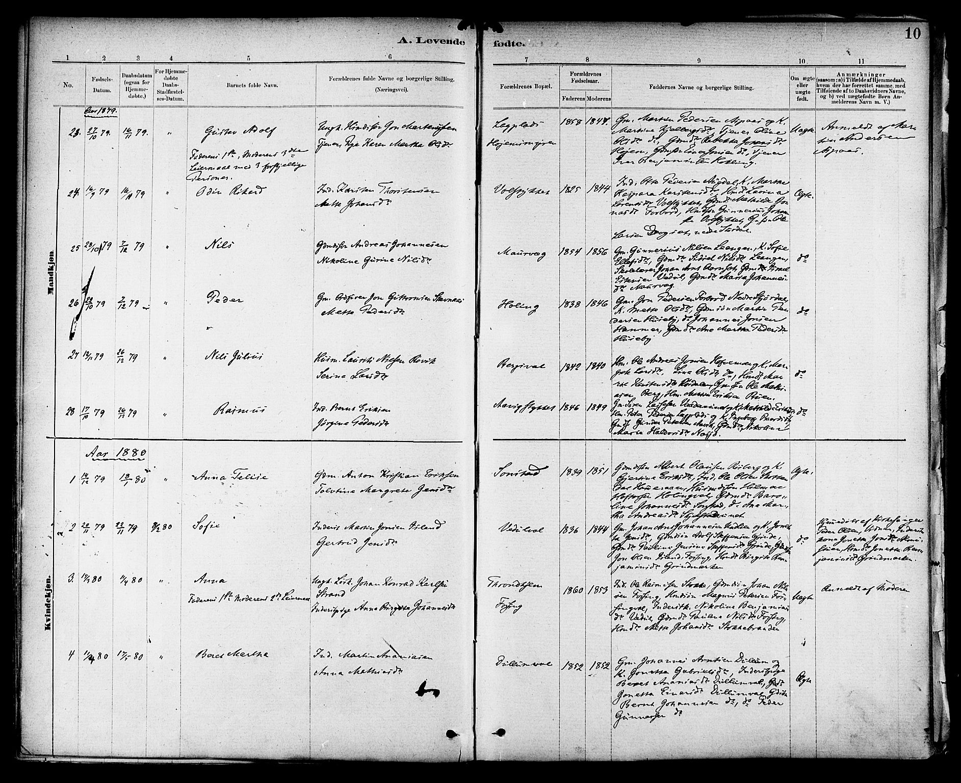 Ministerialprotokoller, klokkerbøker og fødselsregistre - Nord-Trøndelag, SAT/A-1458/714/L0130: Ministerialbok nr. 714A01, 1878-1895, s. 10