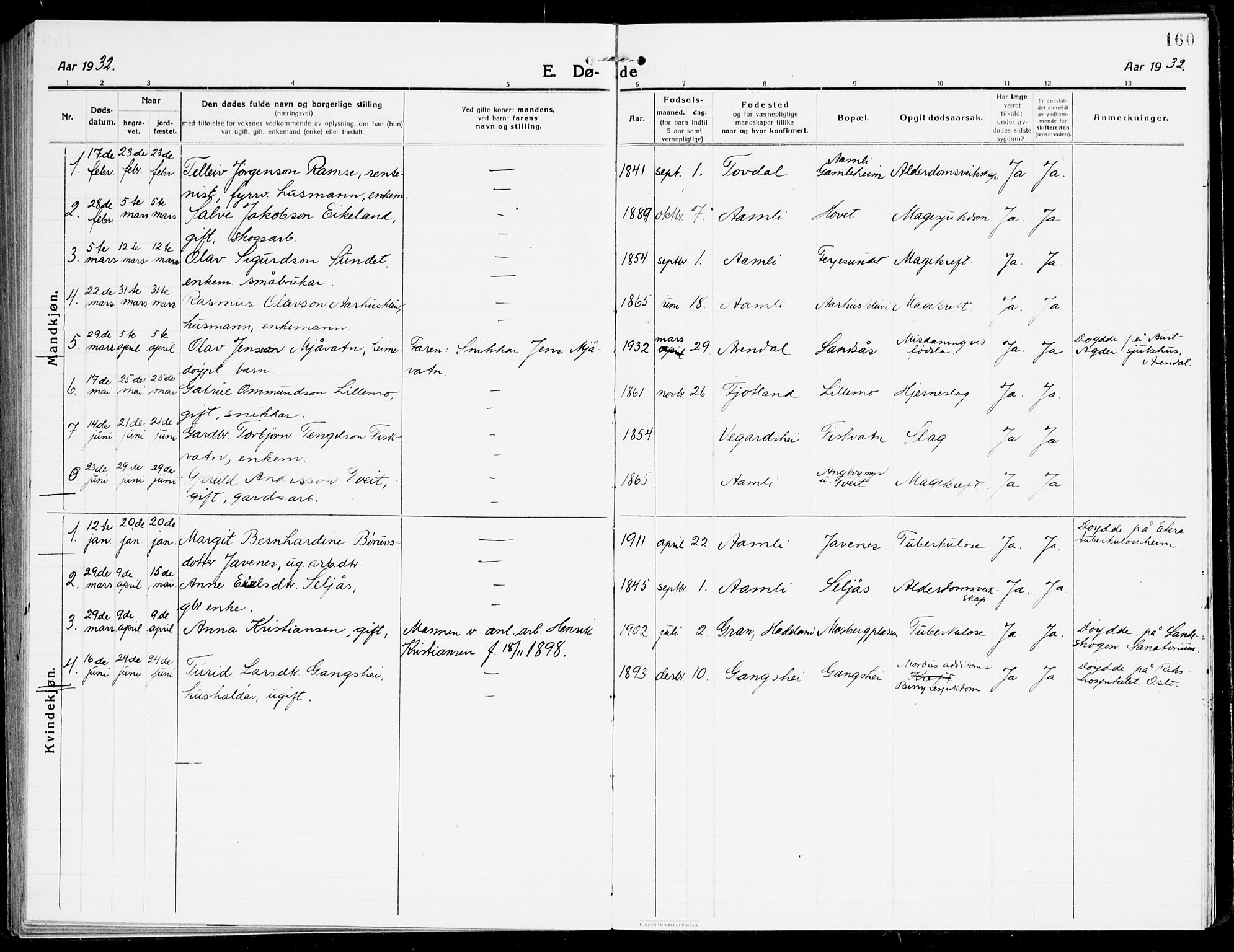 Åmli sokneprestkontor, SAK/1111-0050/F/Fa/Fac/L0013: Ministerialbok nr. A 13, 1914-1933, s. 160