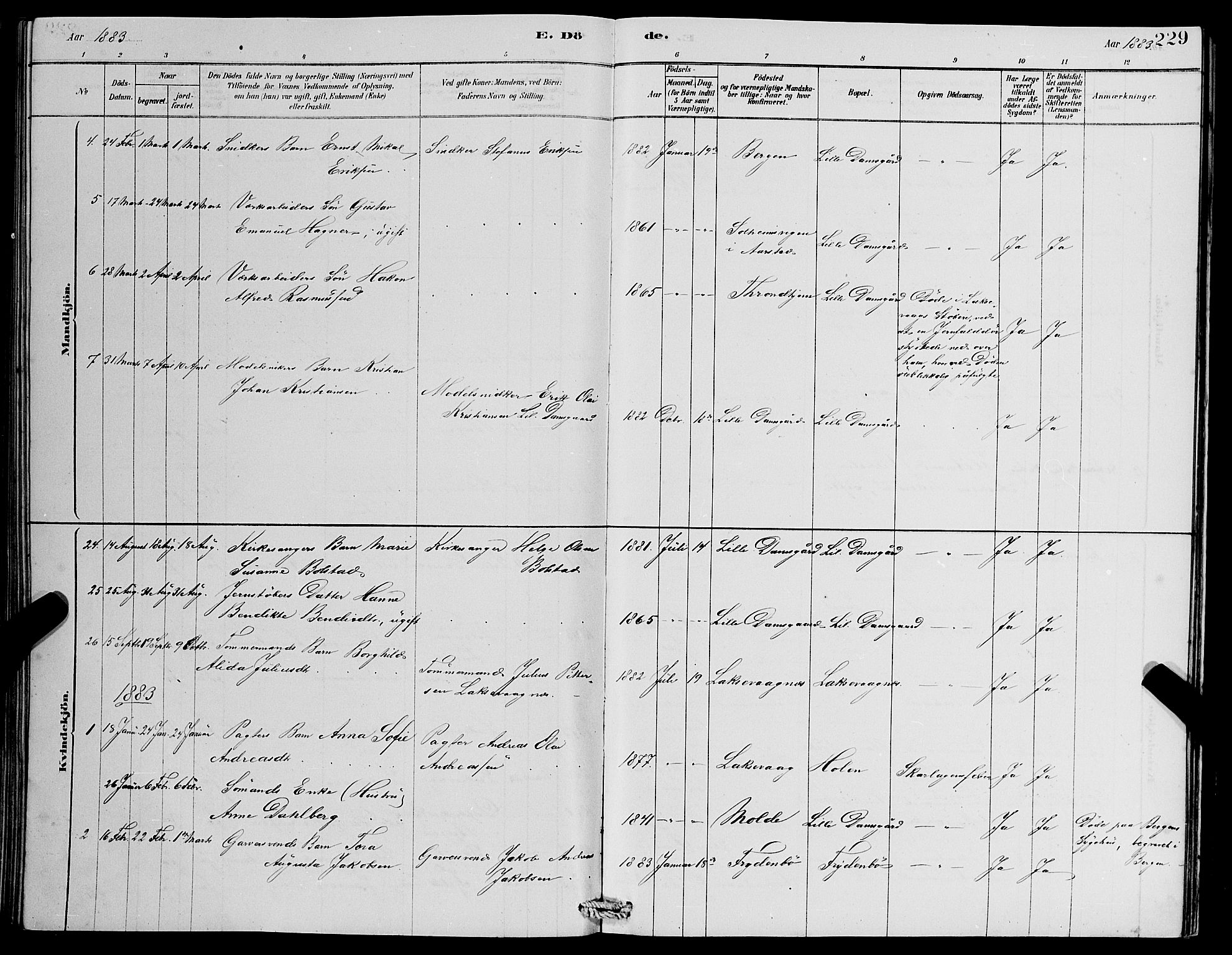 Laksevåg Sokneprestembete, SAB/A-76501/H/Ha/Hab/Haba/L0002: Klokkerbok nr. A 2, 1877-1887, s. 229