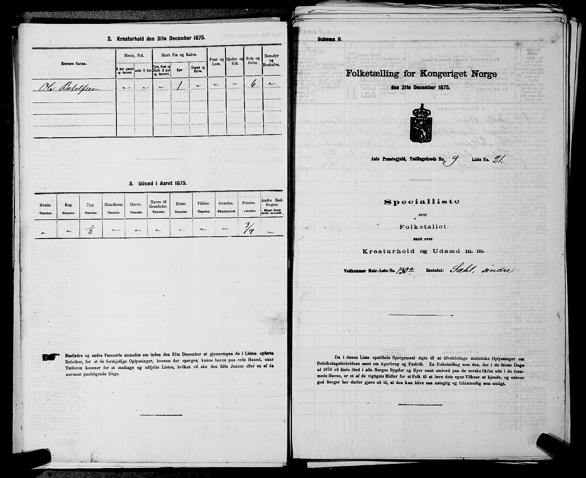 SAKO, Folketelling 1875 for 0619P Ål prestegjeld, 1875, s. 1137