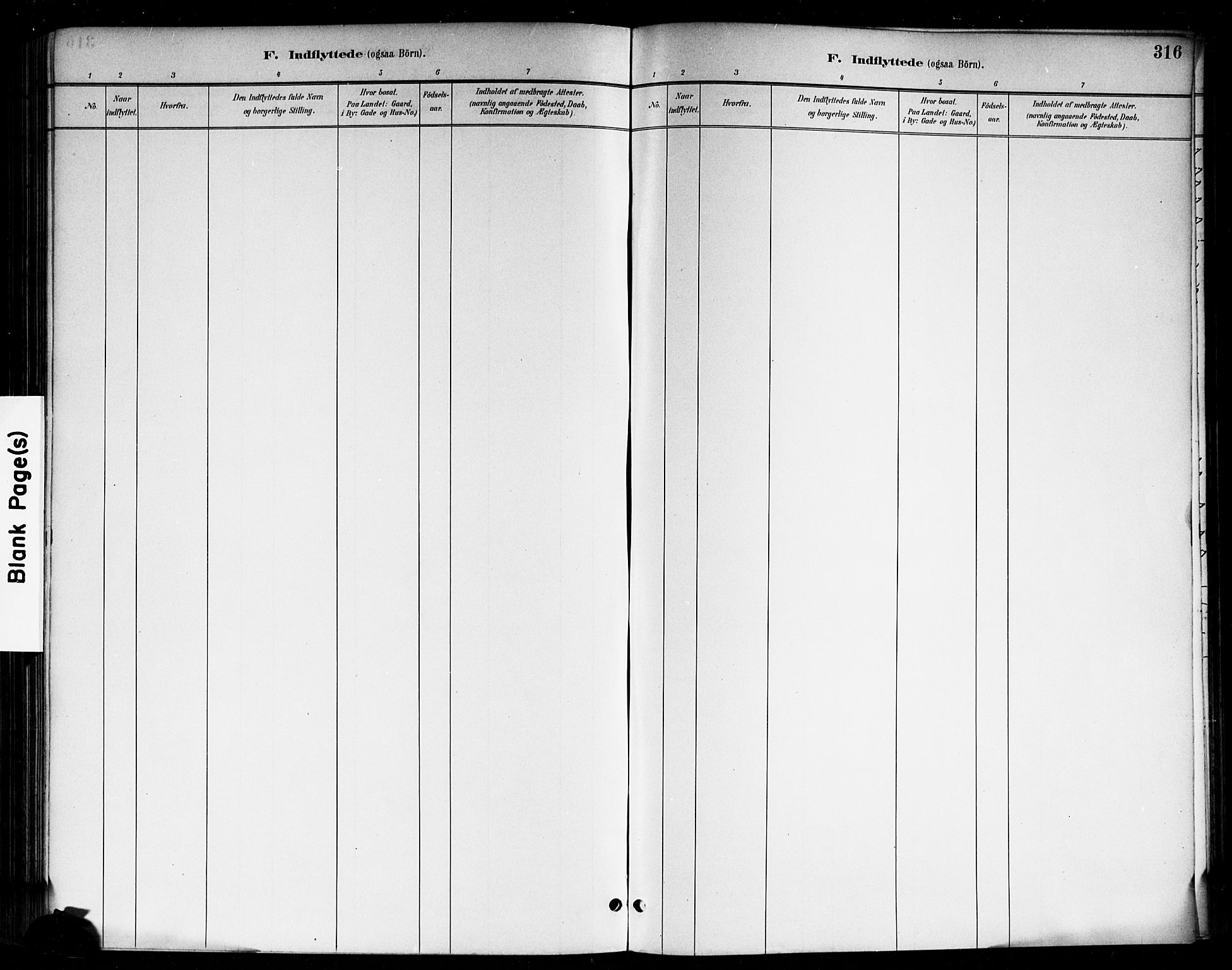Skjeberg prestekontor Kirkebøker, SAO/A-10923/F/Fa/L0009: Ministerialbok nr. I 9, 1886-1897, s. 316