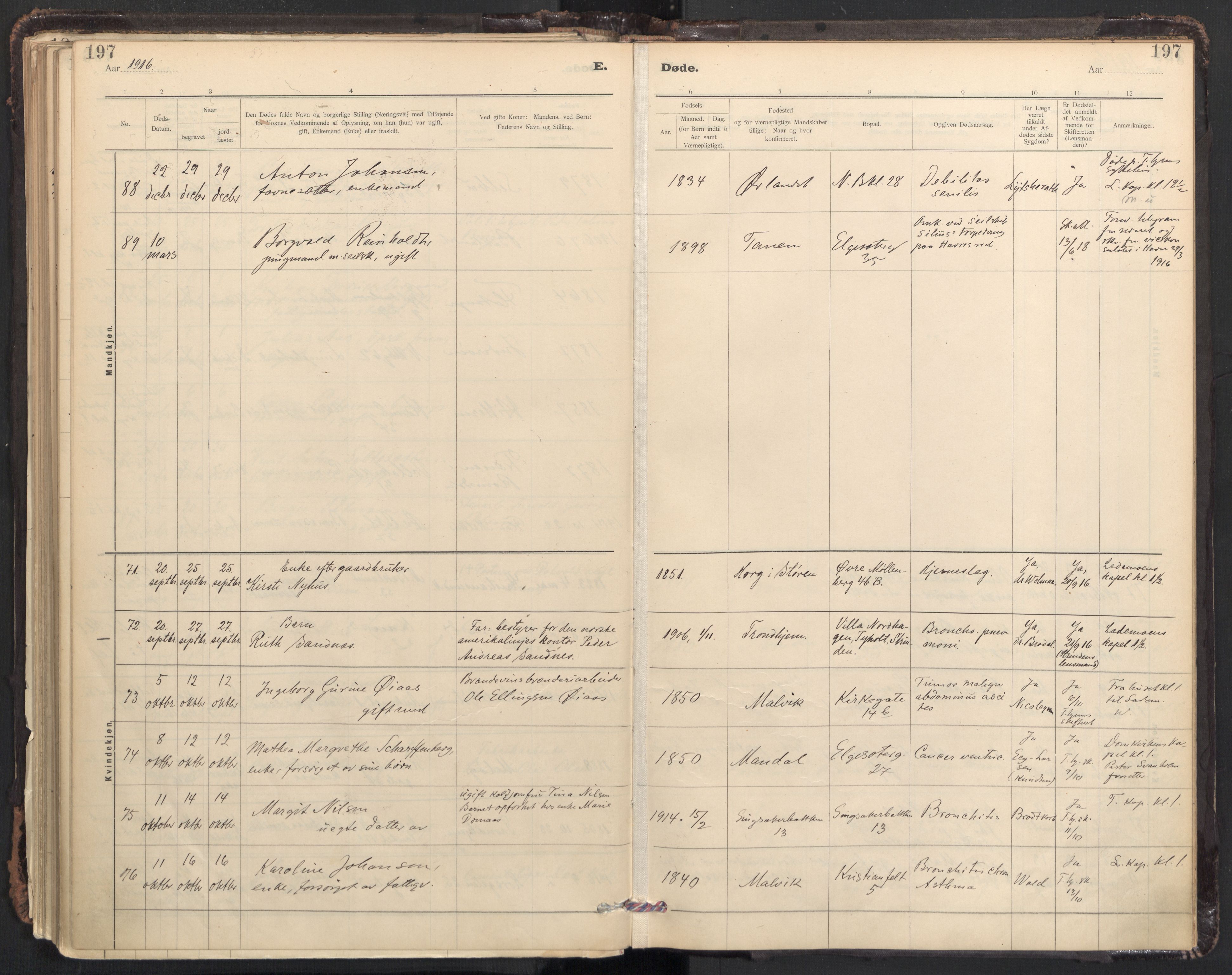 Ministerialprotokoller, klokkerbøker og fødselsregistre - Sør-Trøndelag, AV/SAT-A-1456/604/L0204: Ministerialbok nr. 604A24, 1911-1920, s. 197