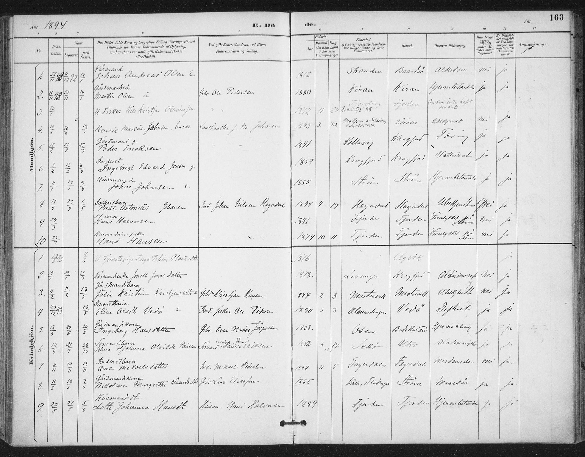 Ministerialprotokoller, klokkerbøker og fødselsregistre - Sør-Trøndelag, AV/SAT-A-1456/657/L0708: Ministerialbok nr. 657A09, 1894-1904, s. 163