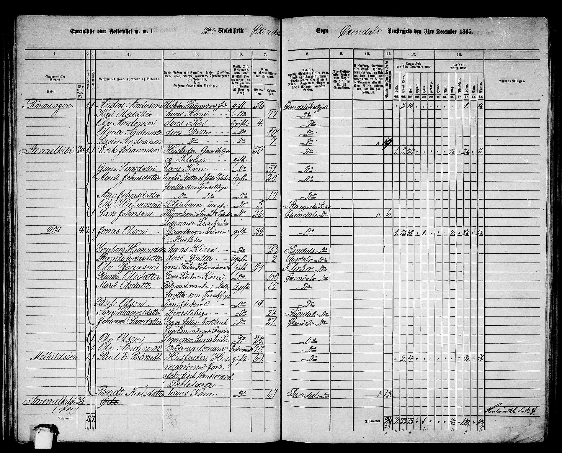 RA, Folketelling 1865 for 1561P Øksendal prestegjeld, 1865, s. 31