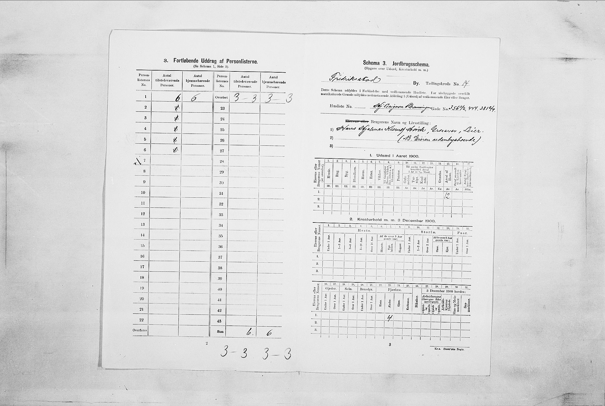 SAO, Folketelling 1900 for 0103 Fredrikstad kjøpstad, 1900