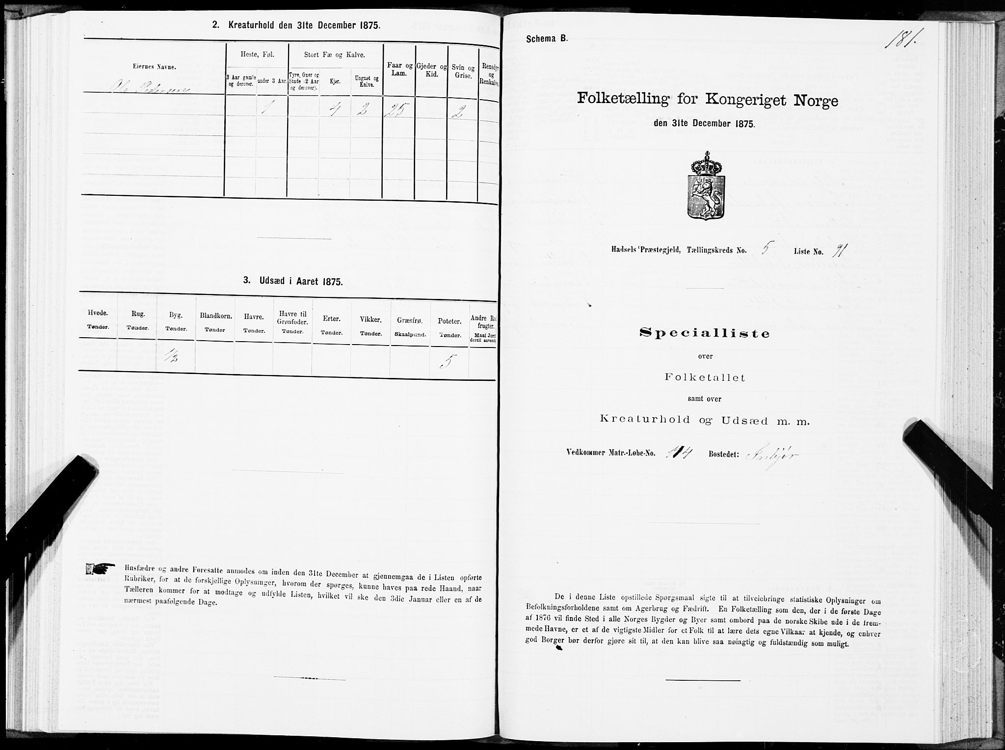 SAT, Folketelling 1875 for 1866P Hadsel prestegjeld, 1875, s. 3181