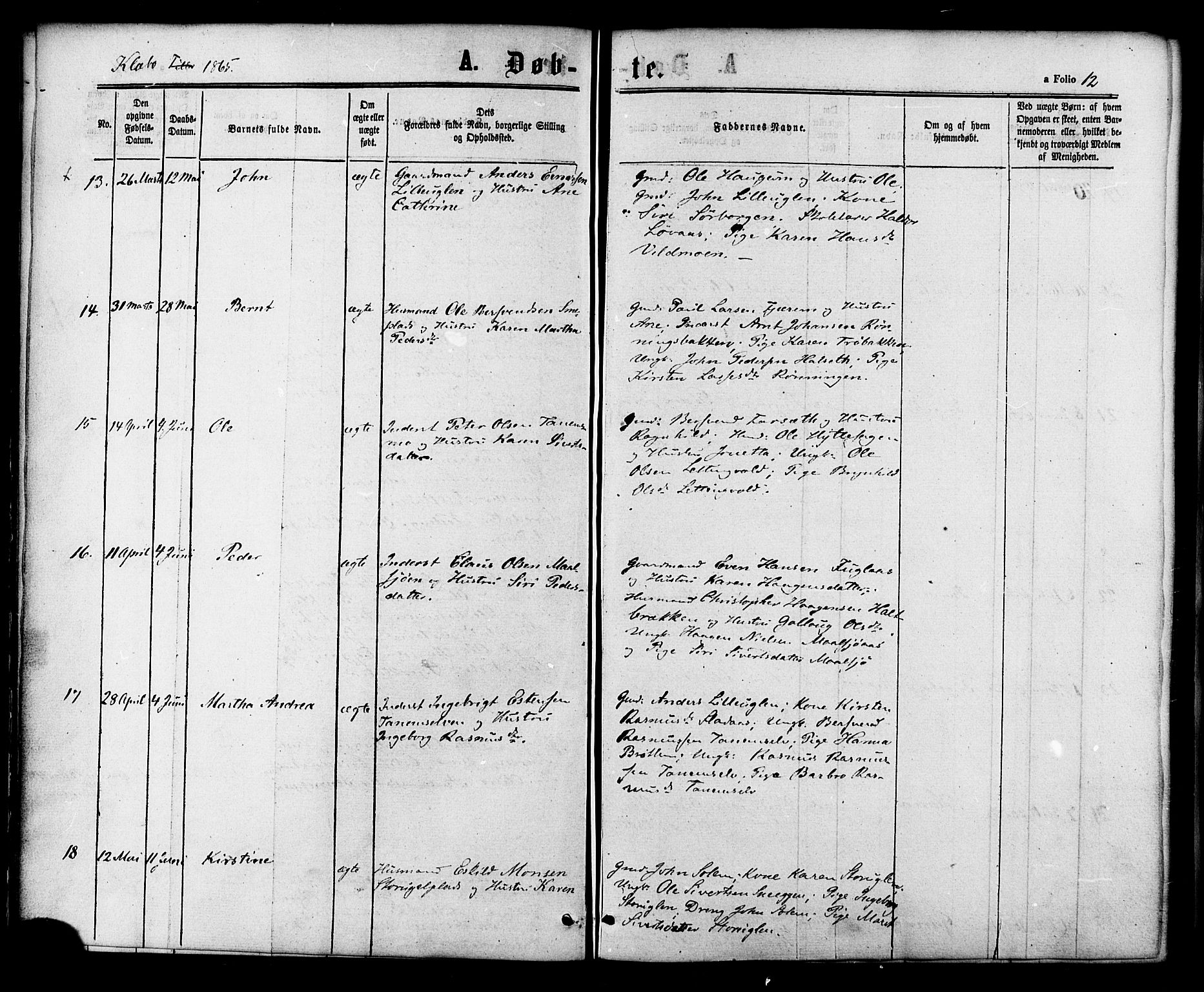 Ministerialprotokoller, klokkerbøker og fødselsregistre - Sør-Trøndelag, SAT/A-1456/618/L0442: Ministerialbok nr. 618A06 /1, 1863-1879, s. 12