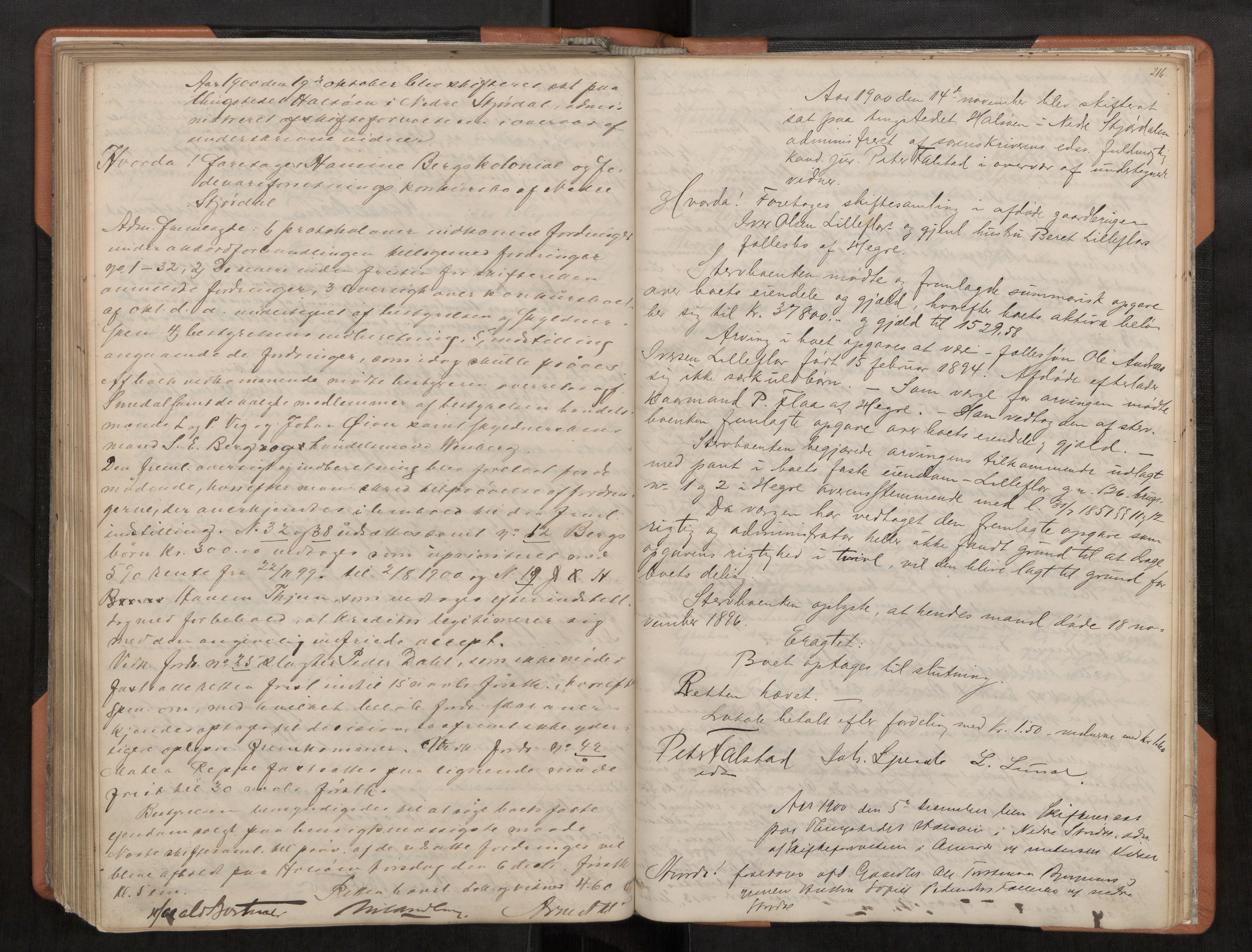 Stjør- og Verdal sorenskriveri, AV/SAT-A-4167/1/3/3B/L0002: Skifteforhandlingsprotokoll, 1870-1901, s. 216