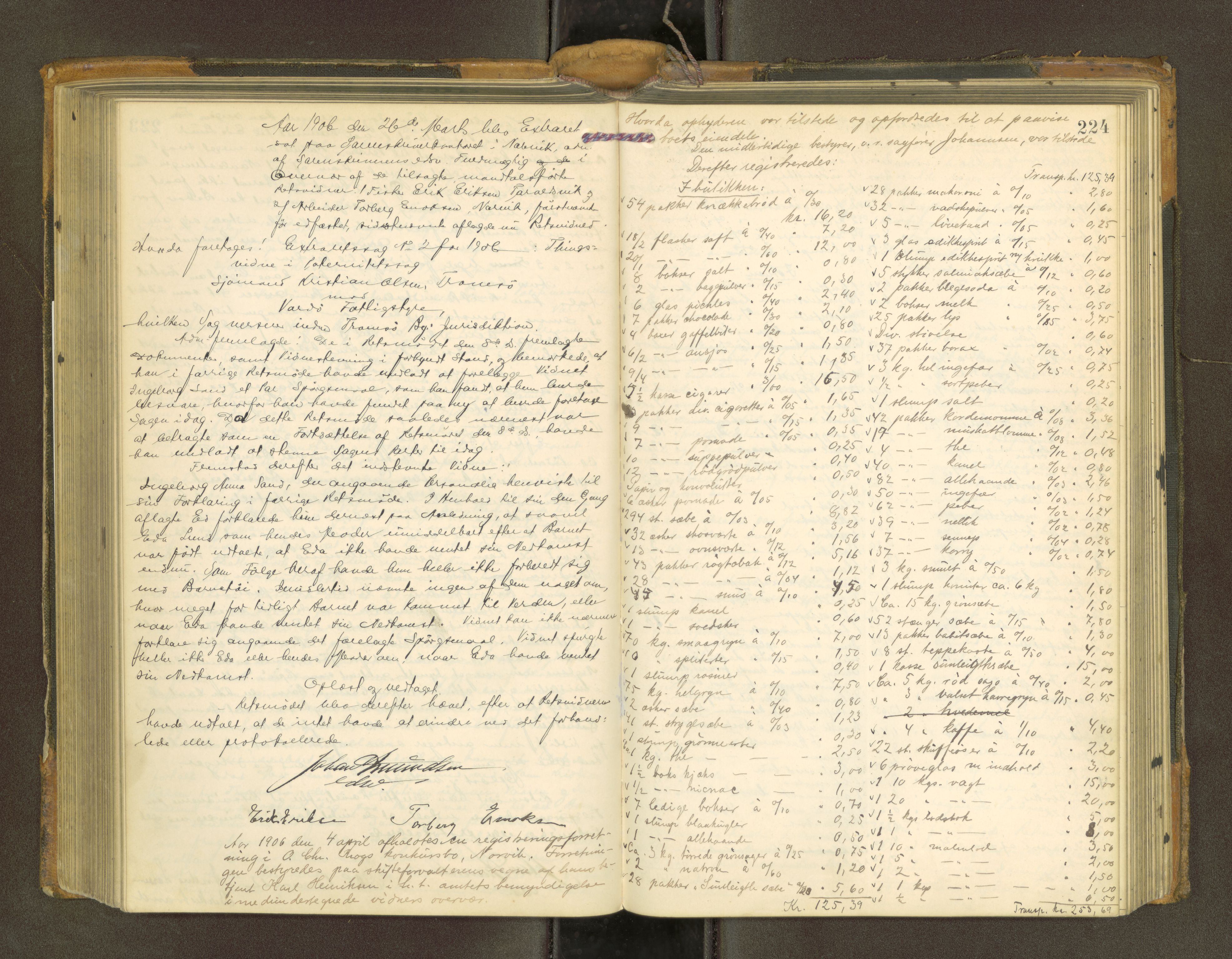 Steigen og Ofoten sorenskriveri, AV/SAT-A-0030/1/1/1E/L0003: Forhandlinger, 1899-1910, s. 223b-224a