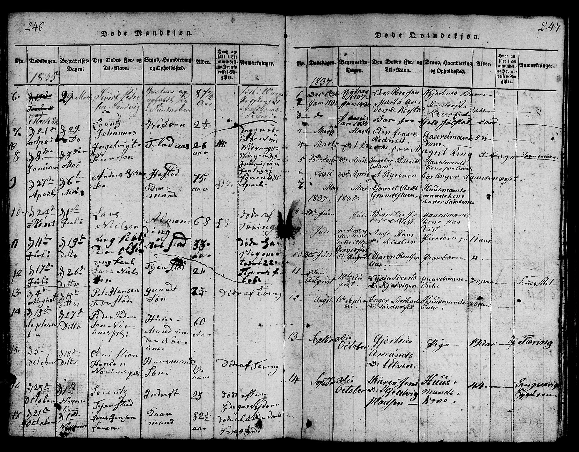 Ministerialprotokoller, klokkerbøker og fødselsregistre - Nord-Trøndelag, SAT/A-1458/730/L0298: Klokkerbok nr. 730C01, 1816-1849, s. 246-247