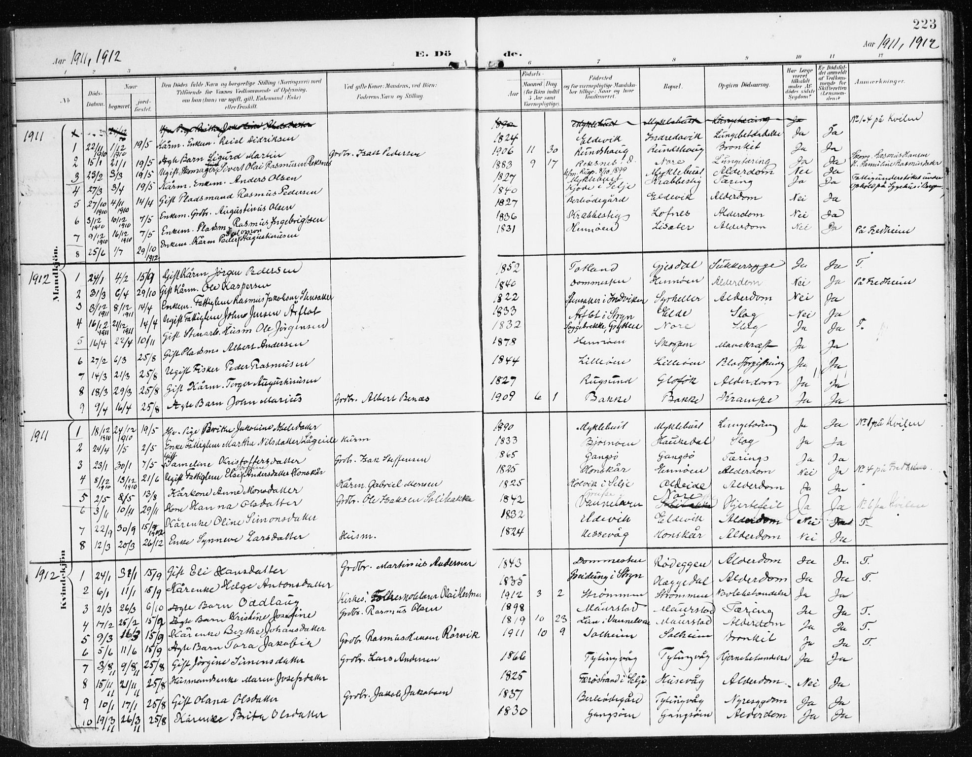 Davik sokneprestembete, AV/SAB-A-79701/H/Haa/Haad/L0002: Ministerialbok nr. D 2, 1901-1930, s. 223