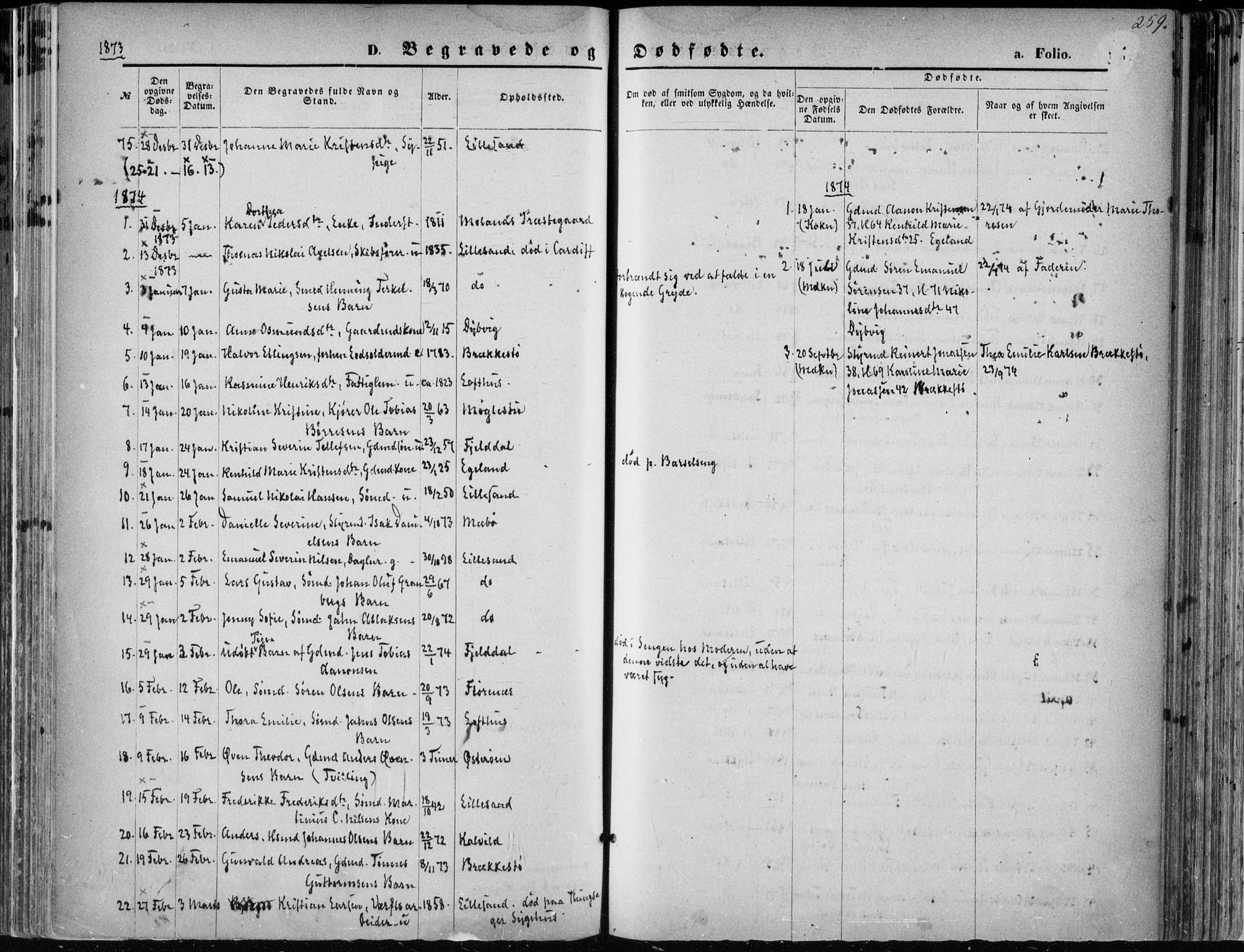 Vestre Moland sokneprestkontor, SAK/1111-0046/F/Fa/Fab/L0008: Ministerialbok nr. A 8, 1873-1883, s. 259