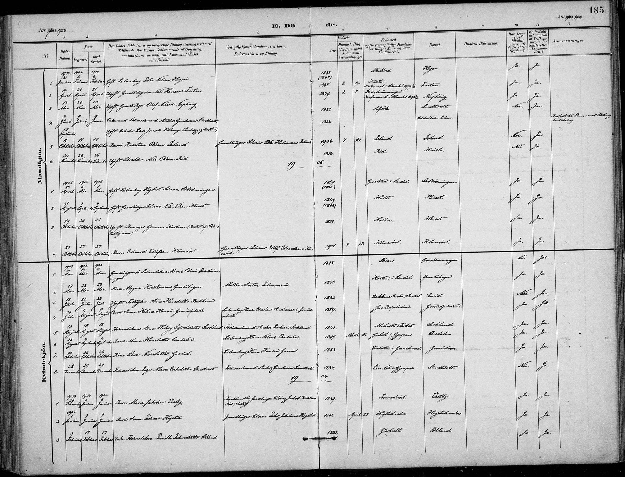 Siljan kirkebøker, SAKO/A-300/F/Fa/L0003: Ministerialbok nr. 3, 1896-1910, s. 185