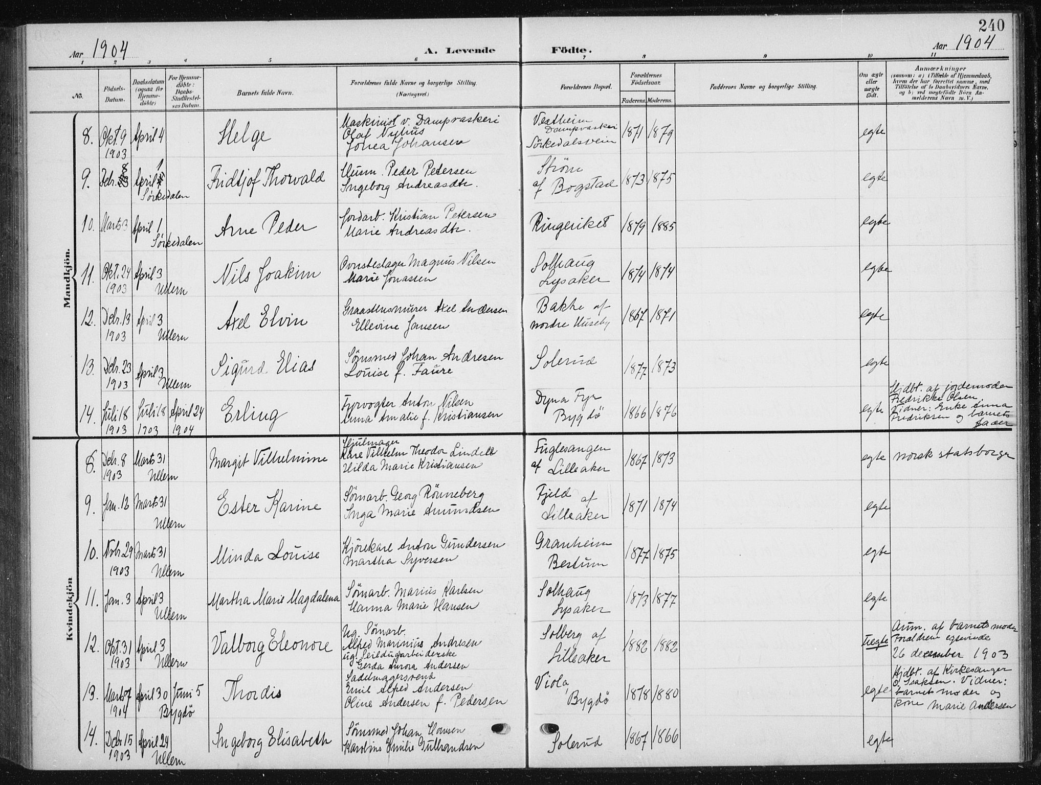 Vestre Aker prestekontor Kirkebøker, AV/SAO-A-10025/F/Fb/L0001: Ministerialbok nr. II 1, 1880-1906, s. 240
